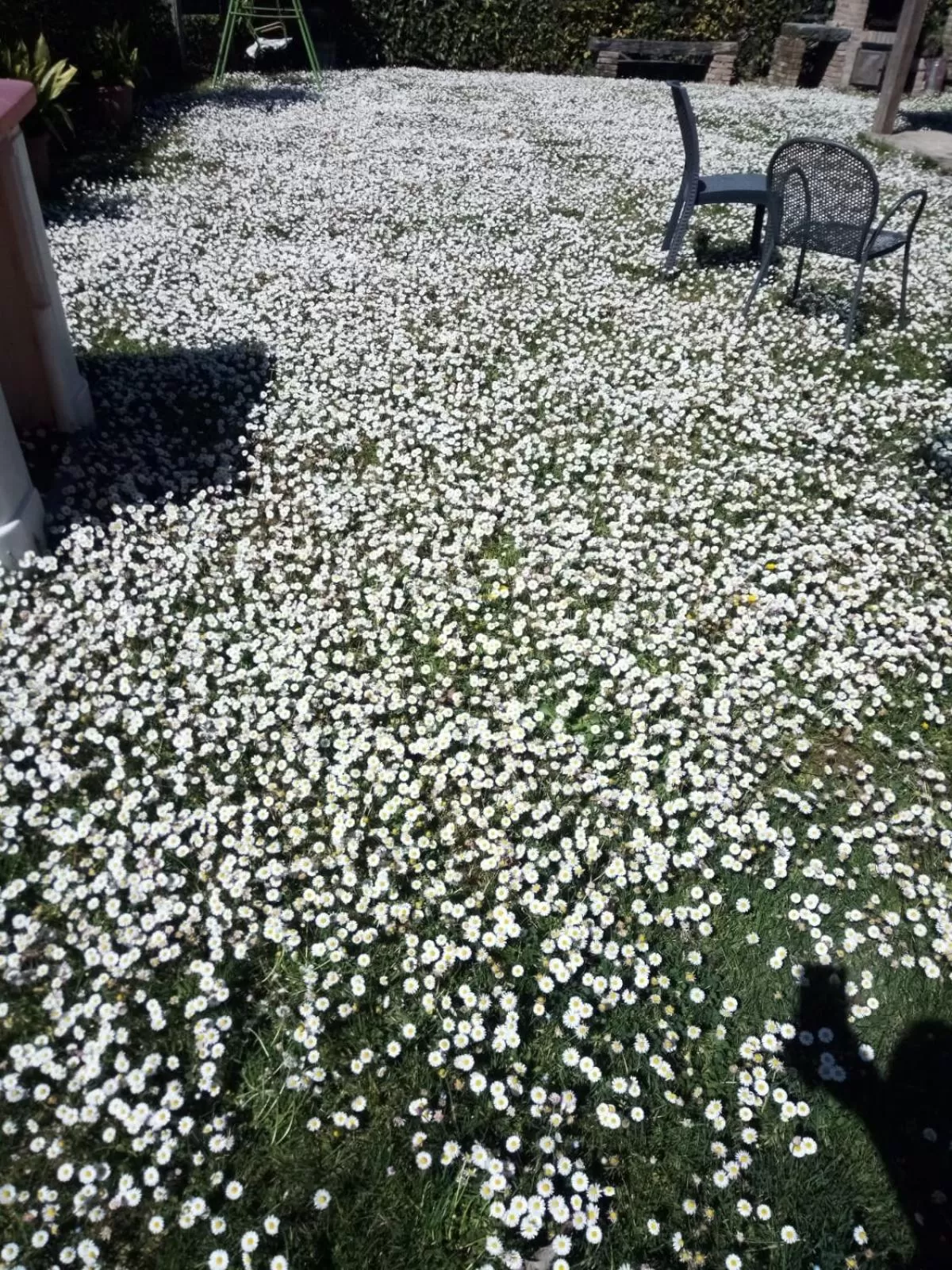 Spring in Montanari Agrivillage