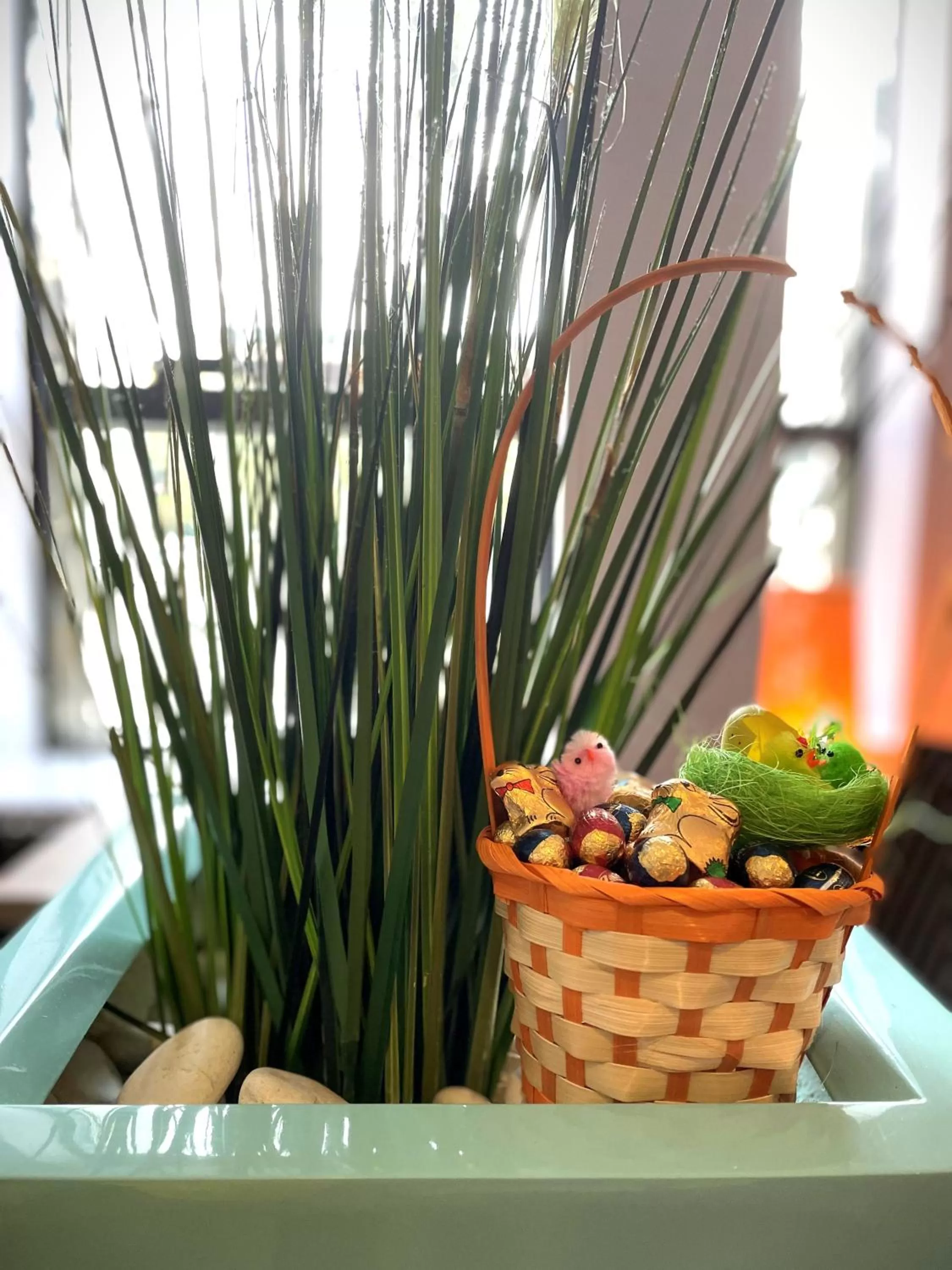 Food in ibis Styles Melun