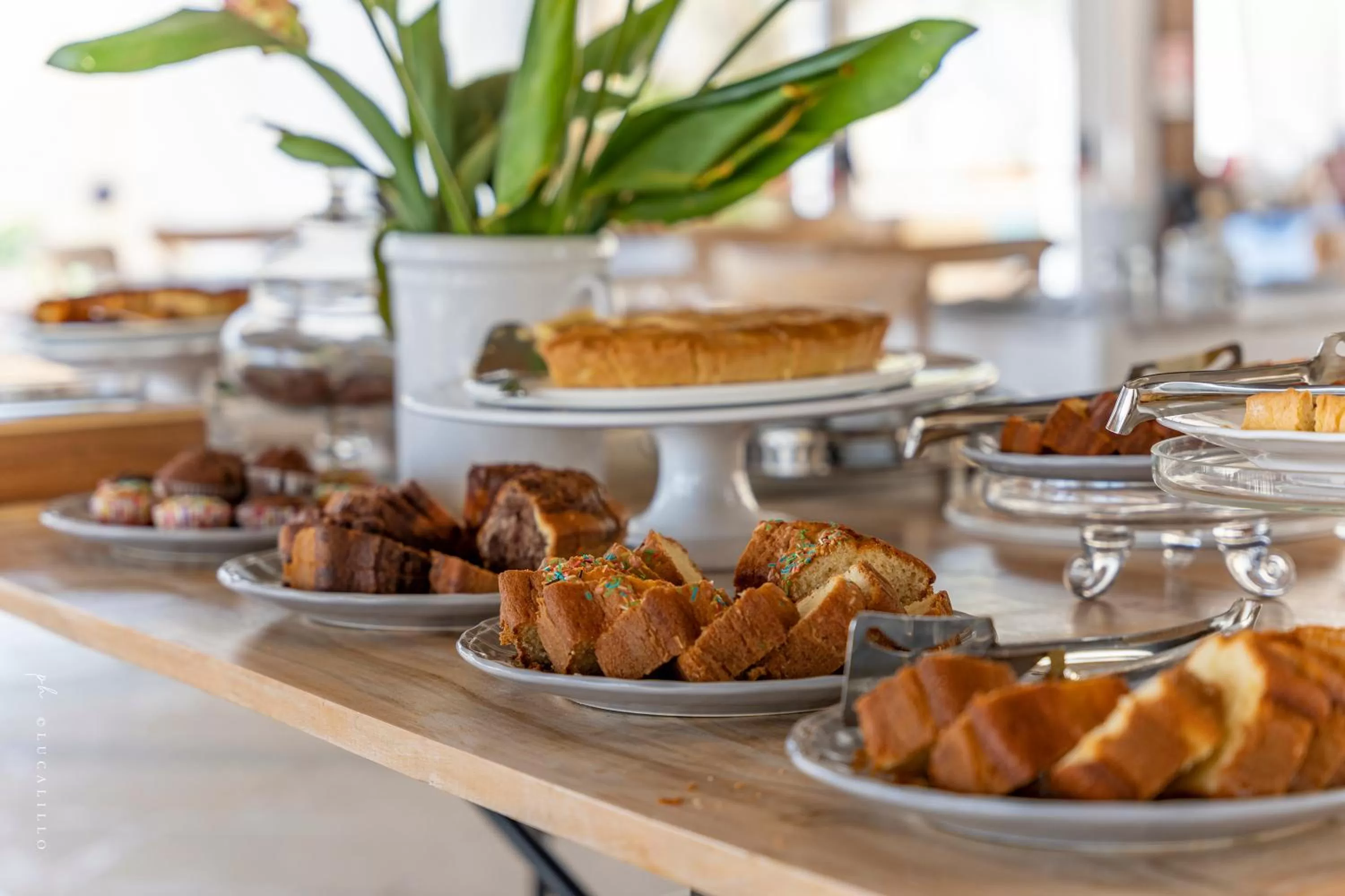 Breakfast in Masseria dei Monaci