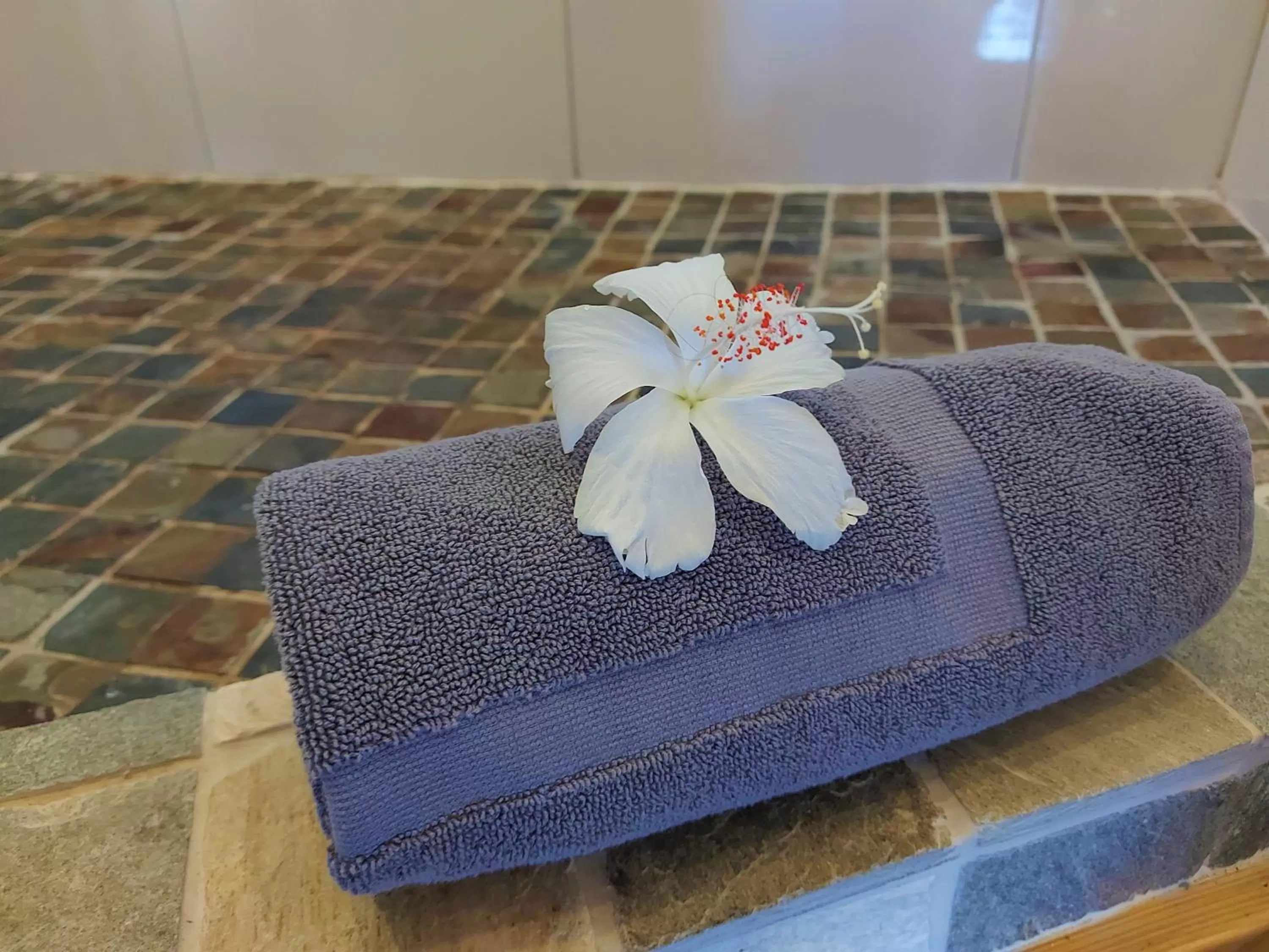 Bathroom, Bed in The Sunsetter Bed & Breakfast