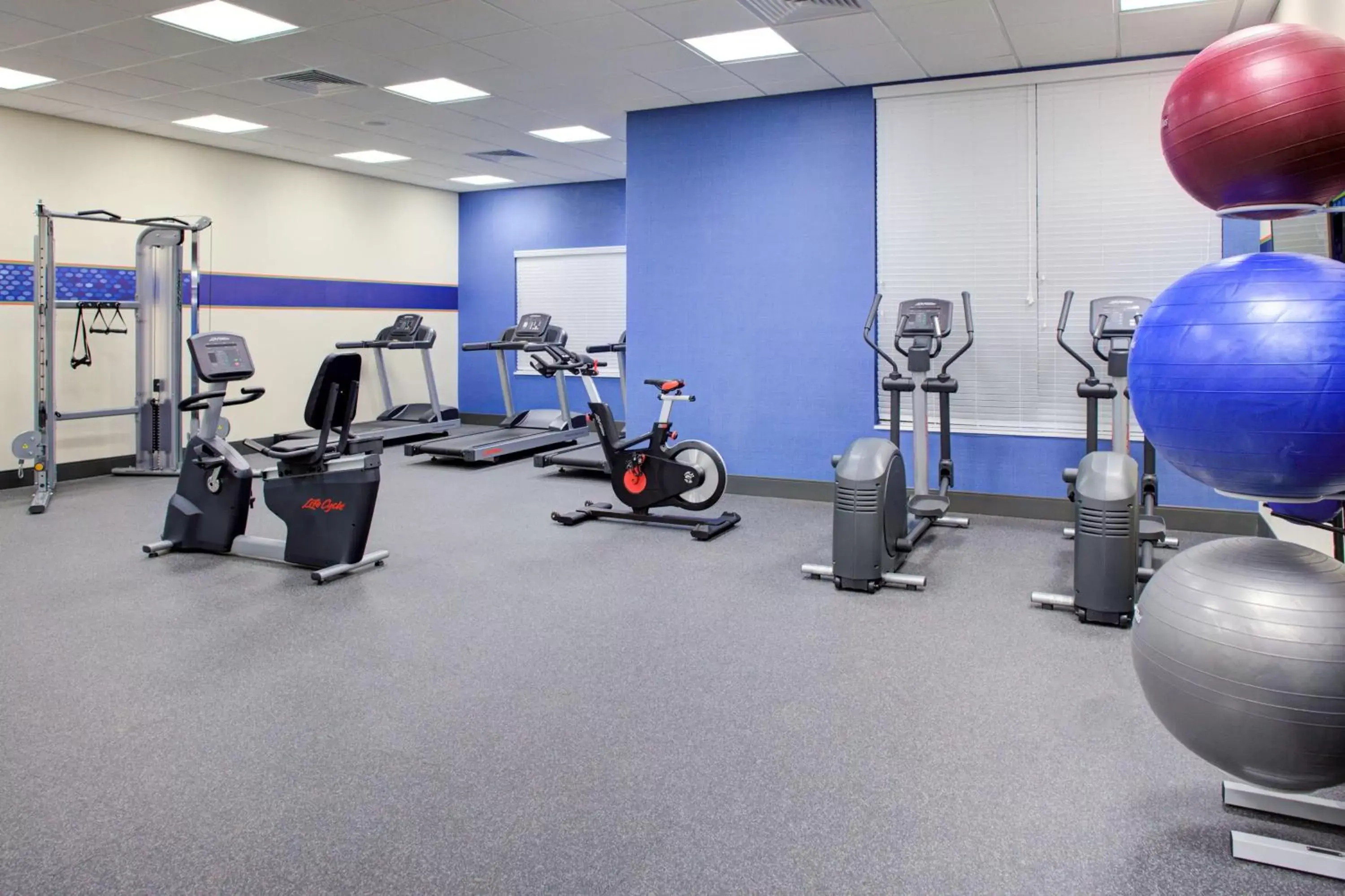 Fitness centre/facilities, Fitness Center/Facilities in Hampton Inn Suites Flagstaff East