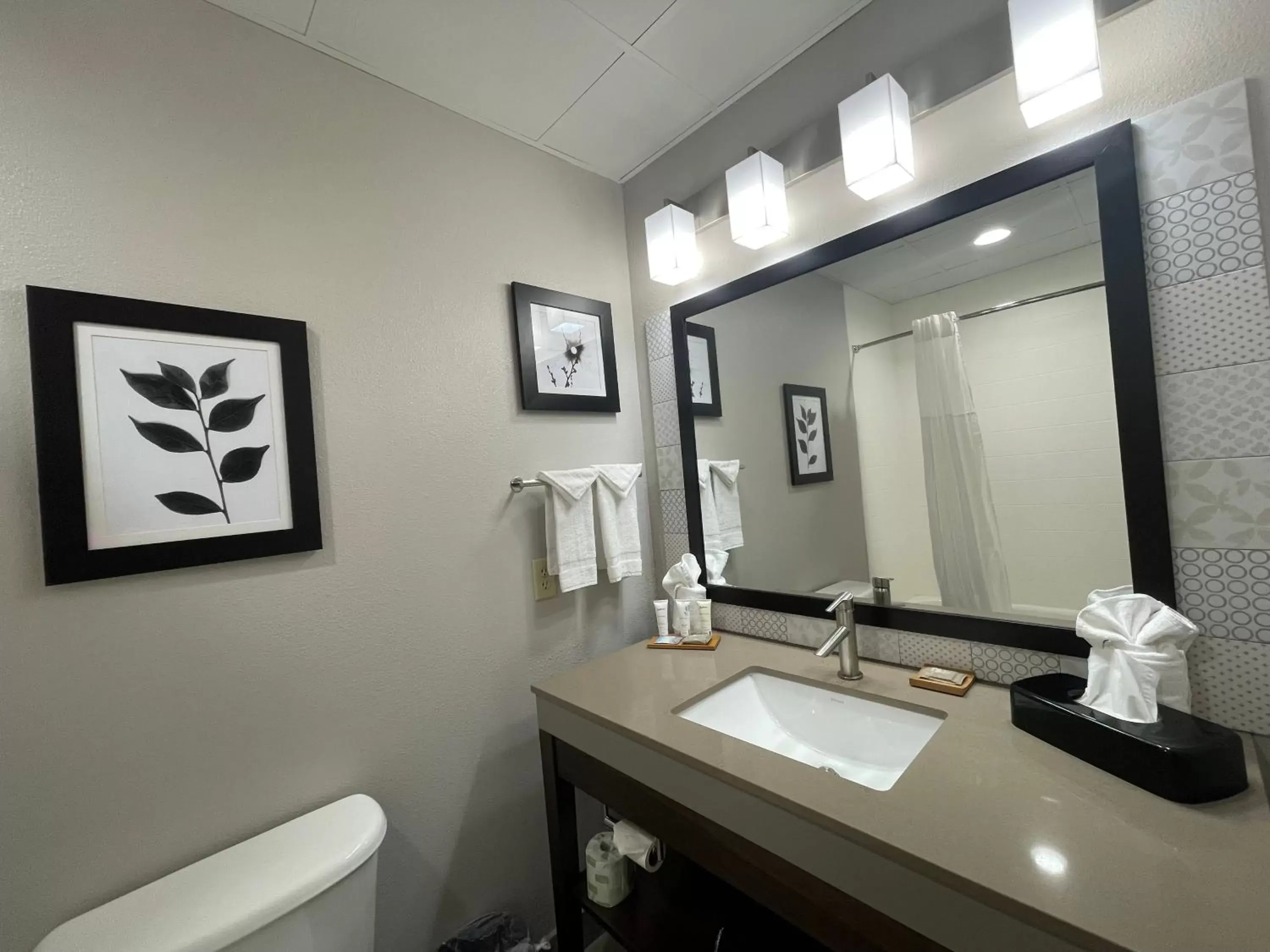 Bathroom in Country Inn & Suites by Radisson, Valdosta, GA - NEWLY RENOVATED