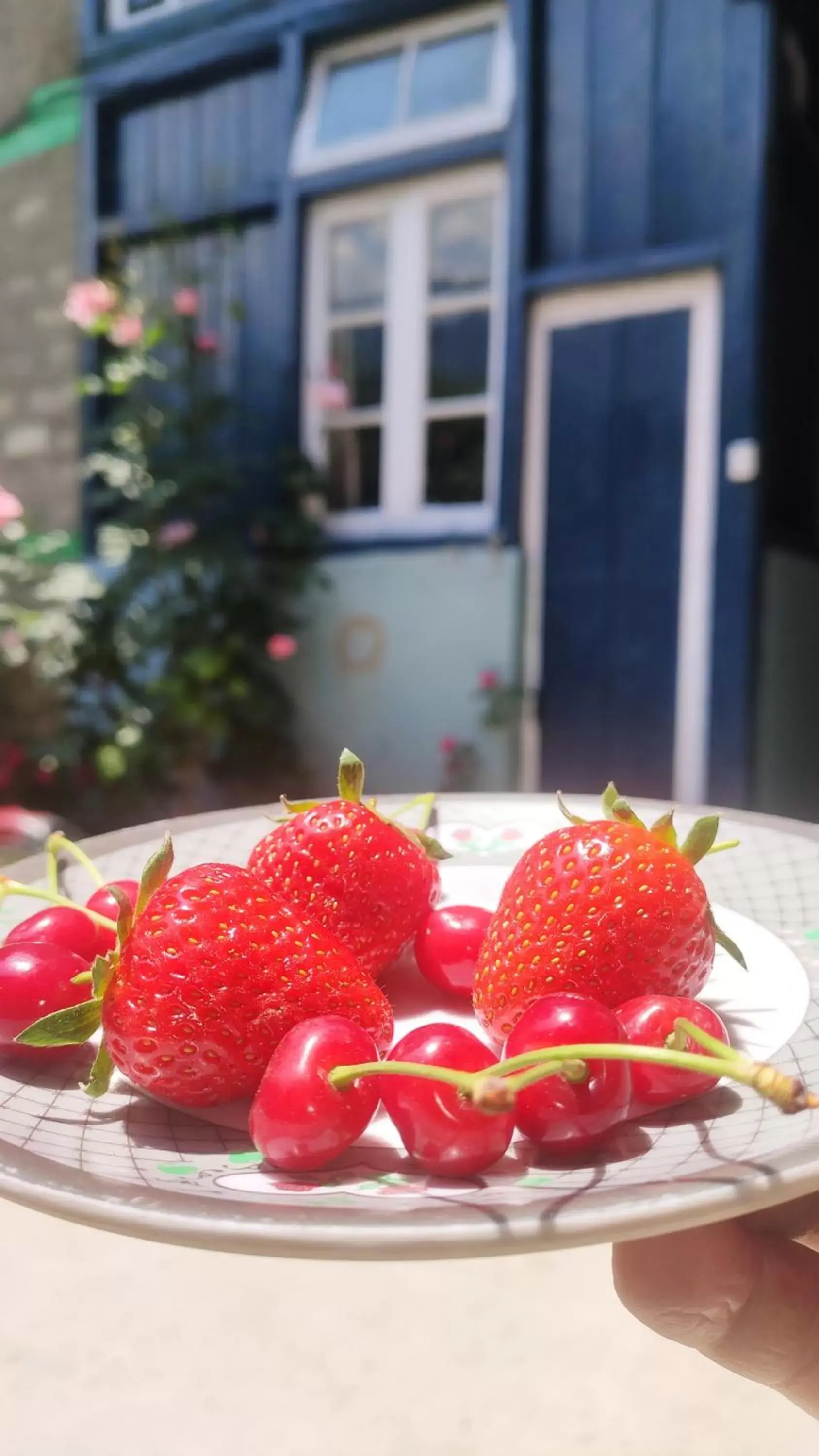 Breakfast in The Prasher Lodge Mall Road Manali Breakfast in The Prasher Lodge Mall Road Manali