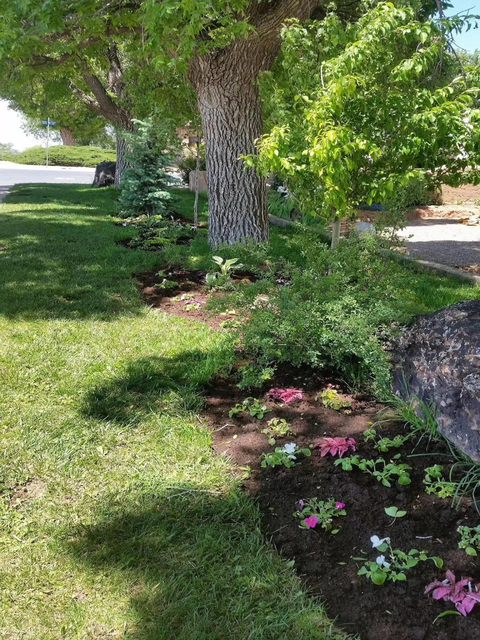 Garden in Stone Lizard Lodge