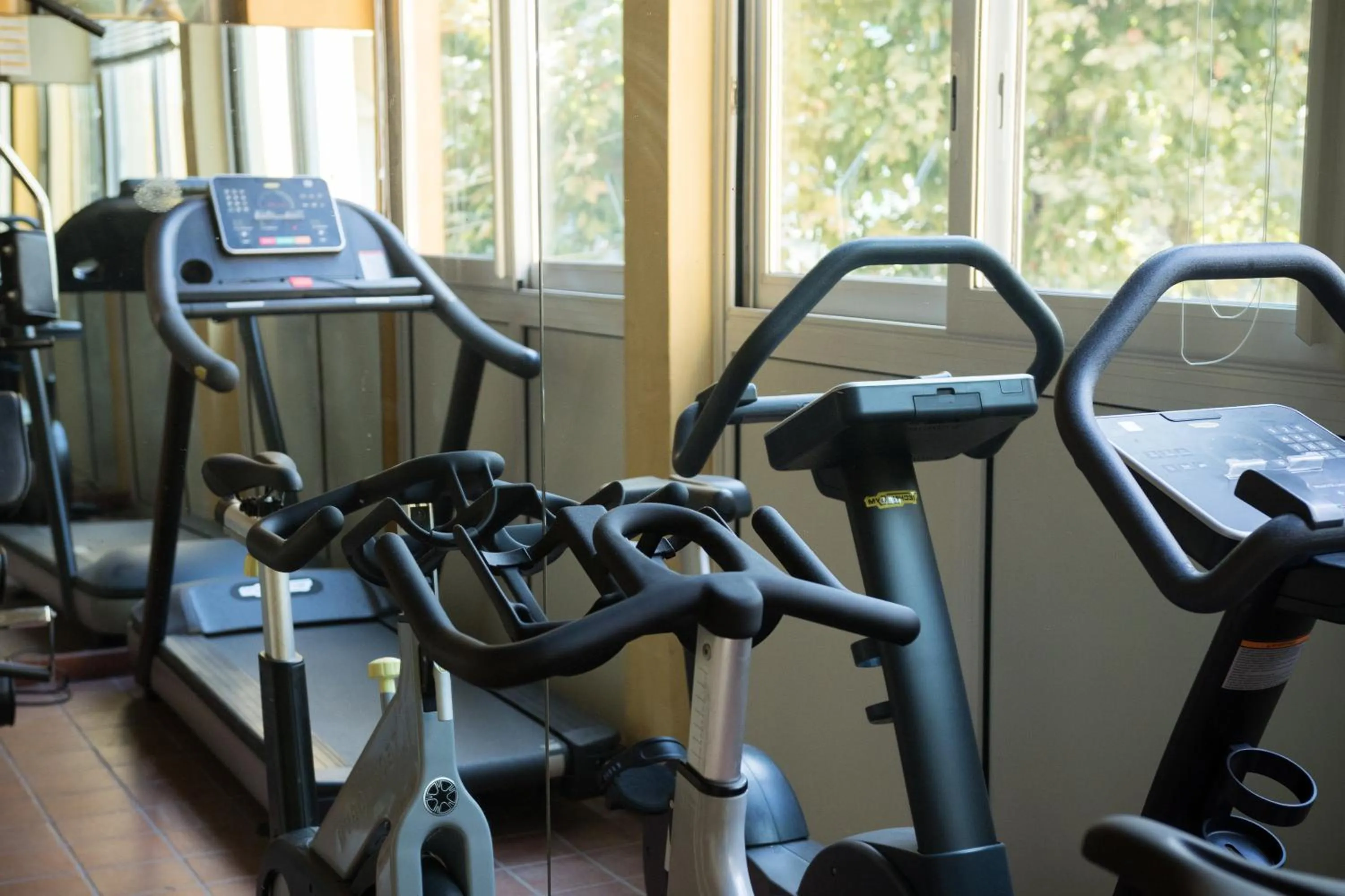 Fitness centre/facilities in Hotel Dei Platani