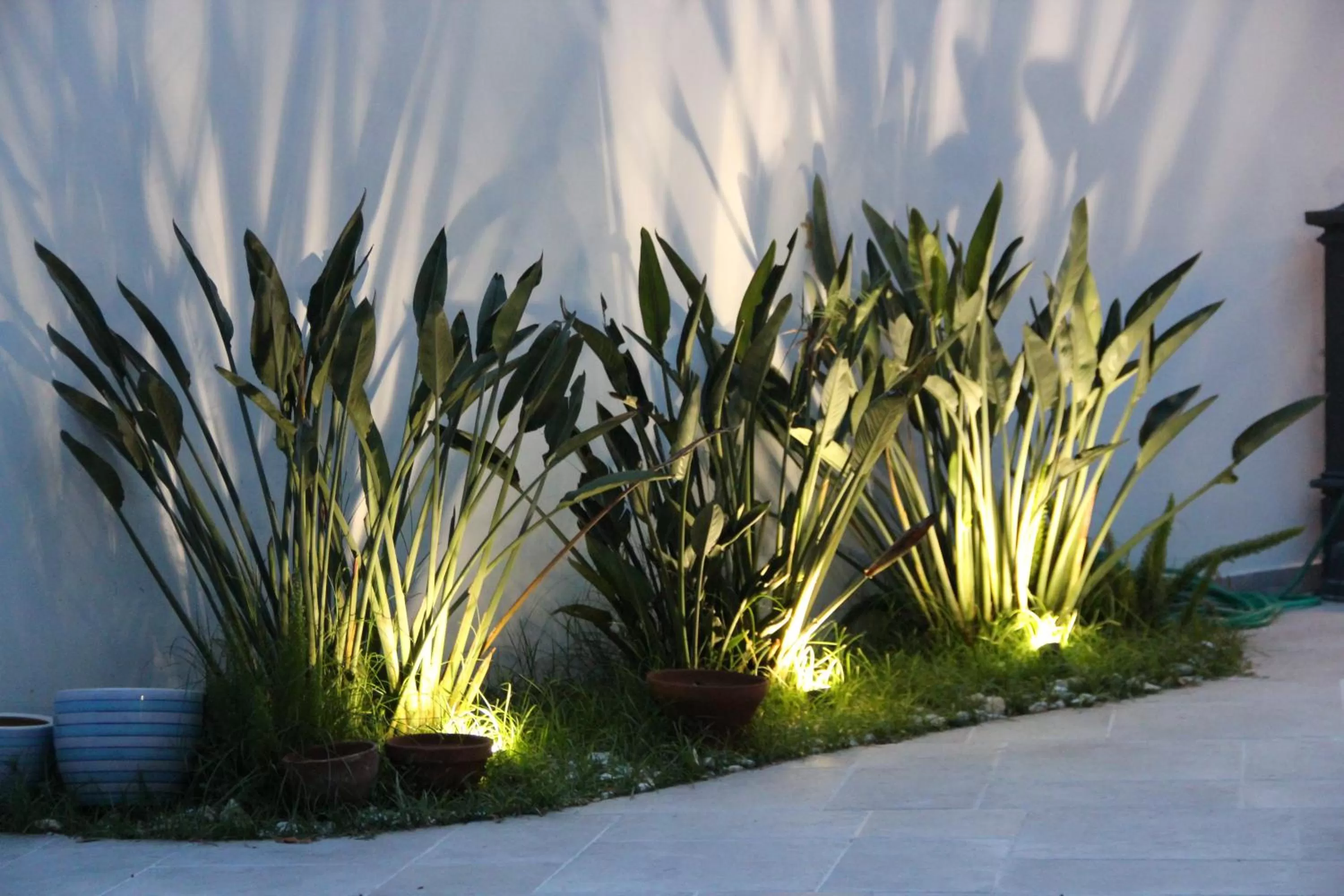 Il Giardino della Scuncerta