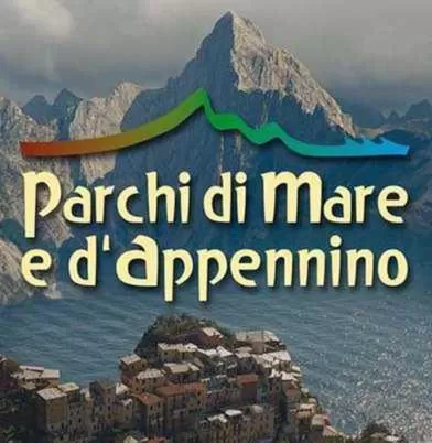 Area and facilities in Albergo Miramonti