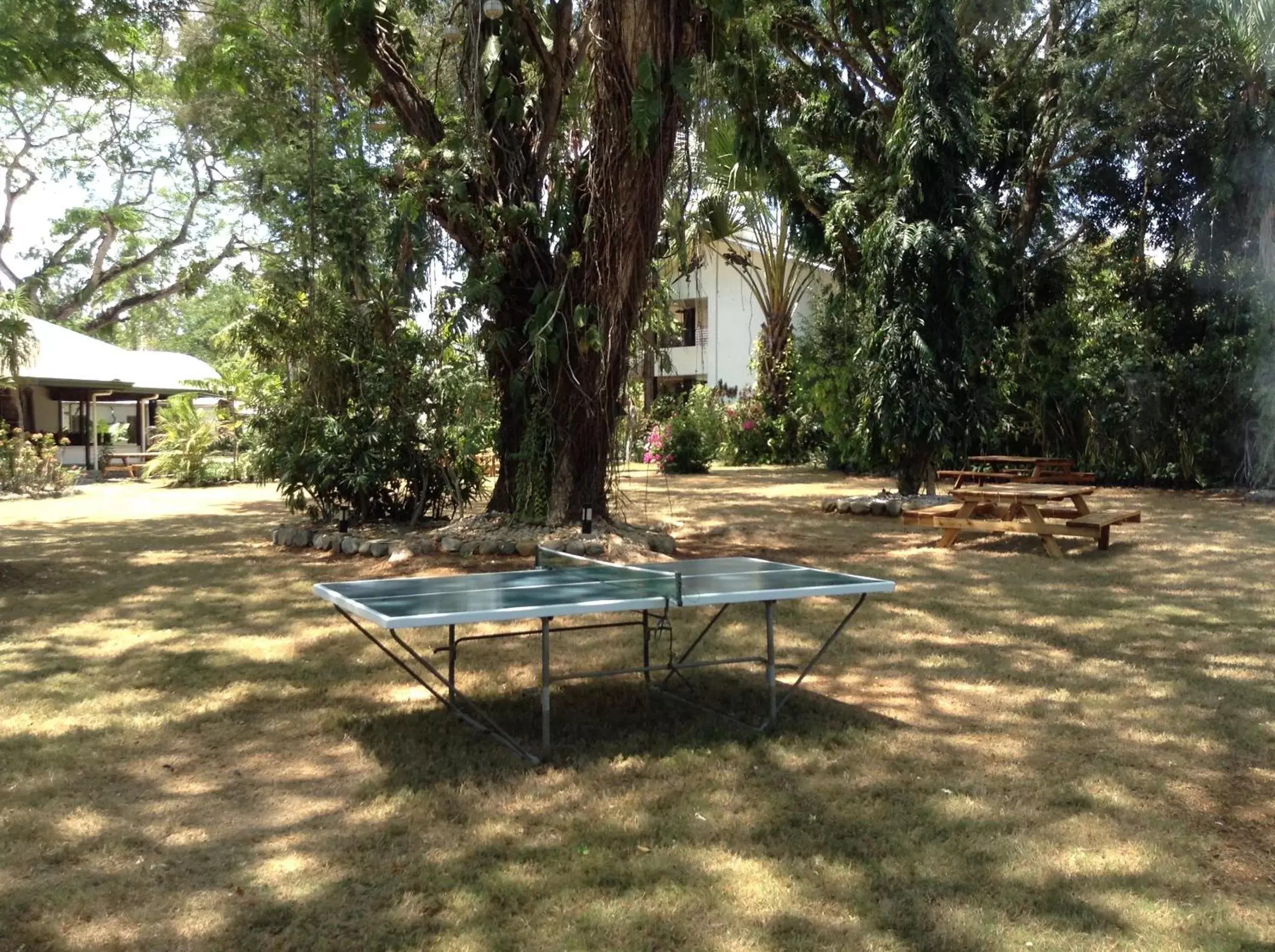 Garden, Table Tennis in Balay Tuko Garden Inn