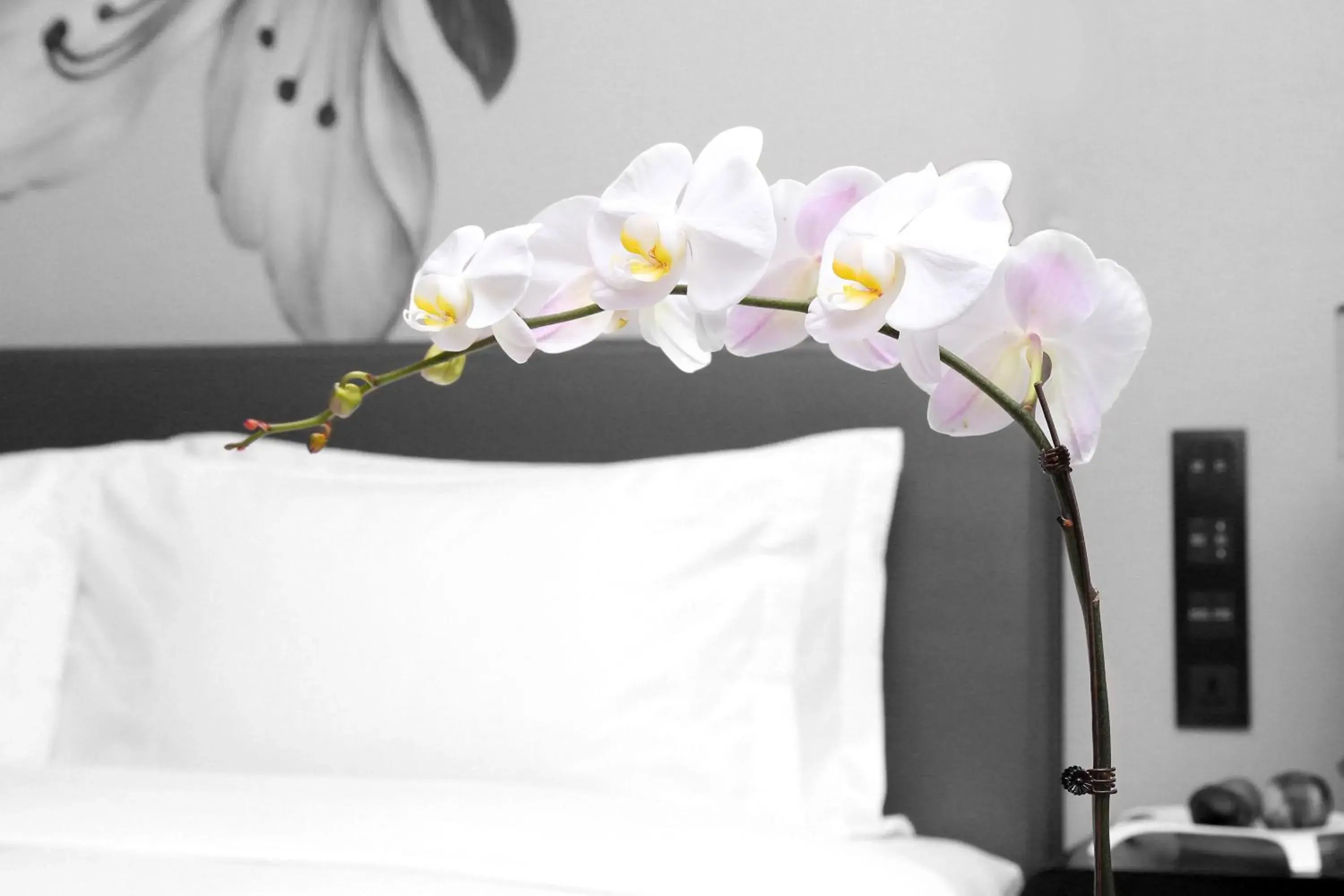 Bed in Kempinski Hotel Changsha