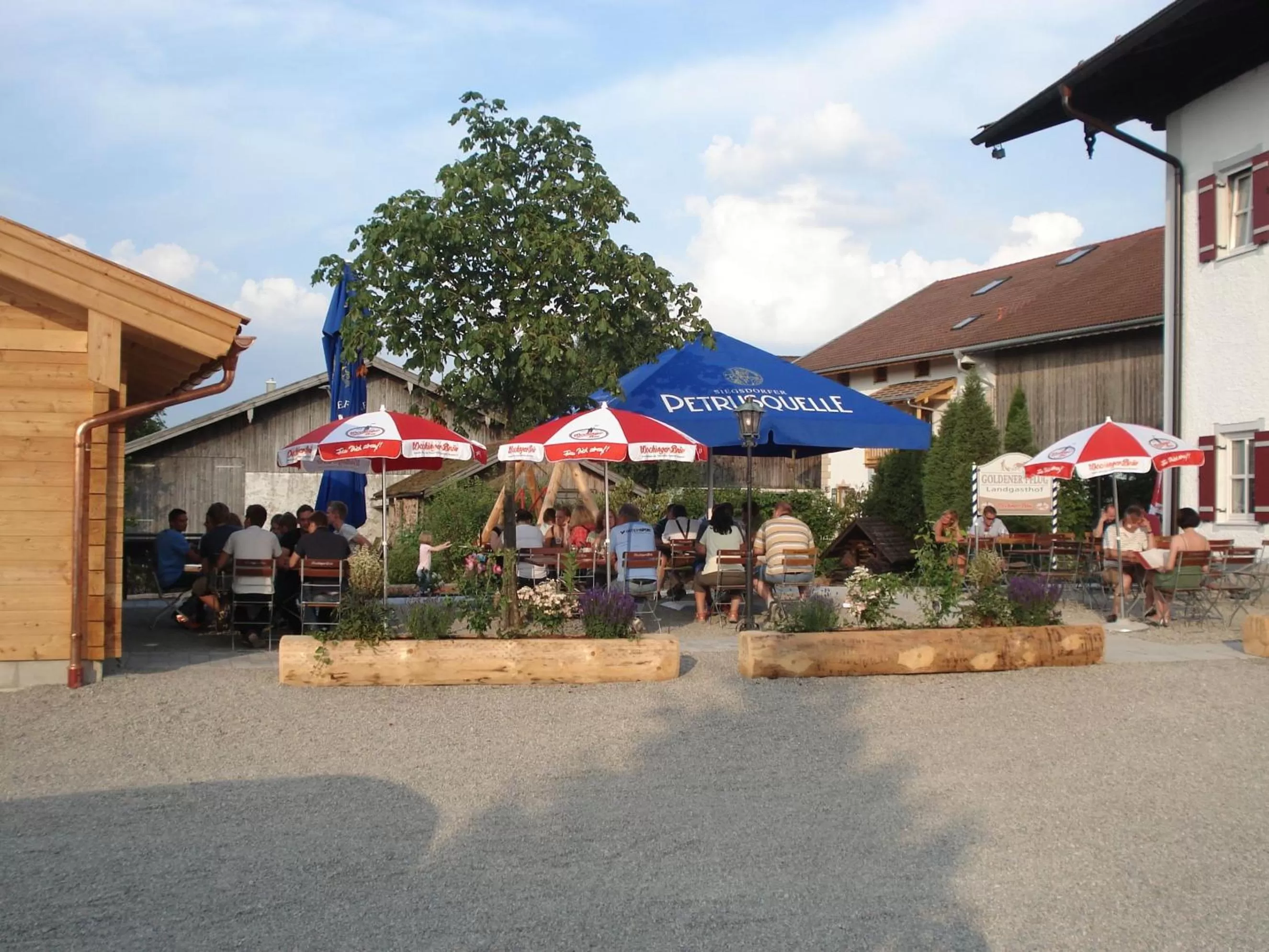 Restaurant/places to eat in Landgasthof Goldener Pflug
