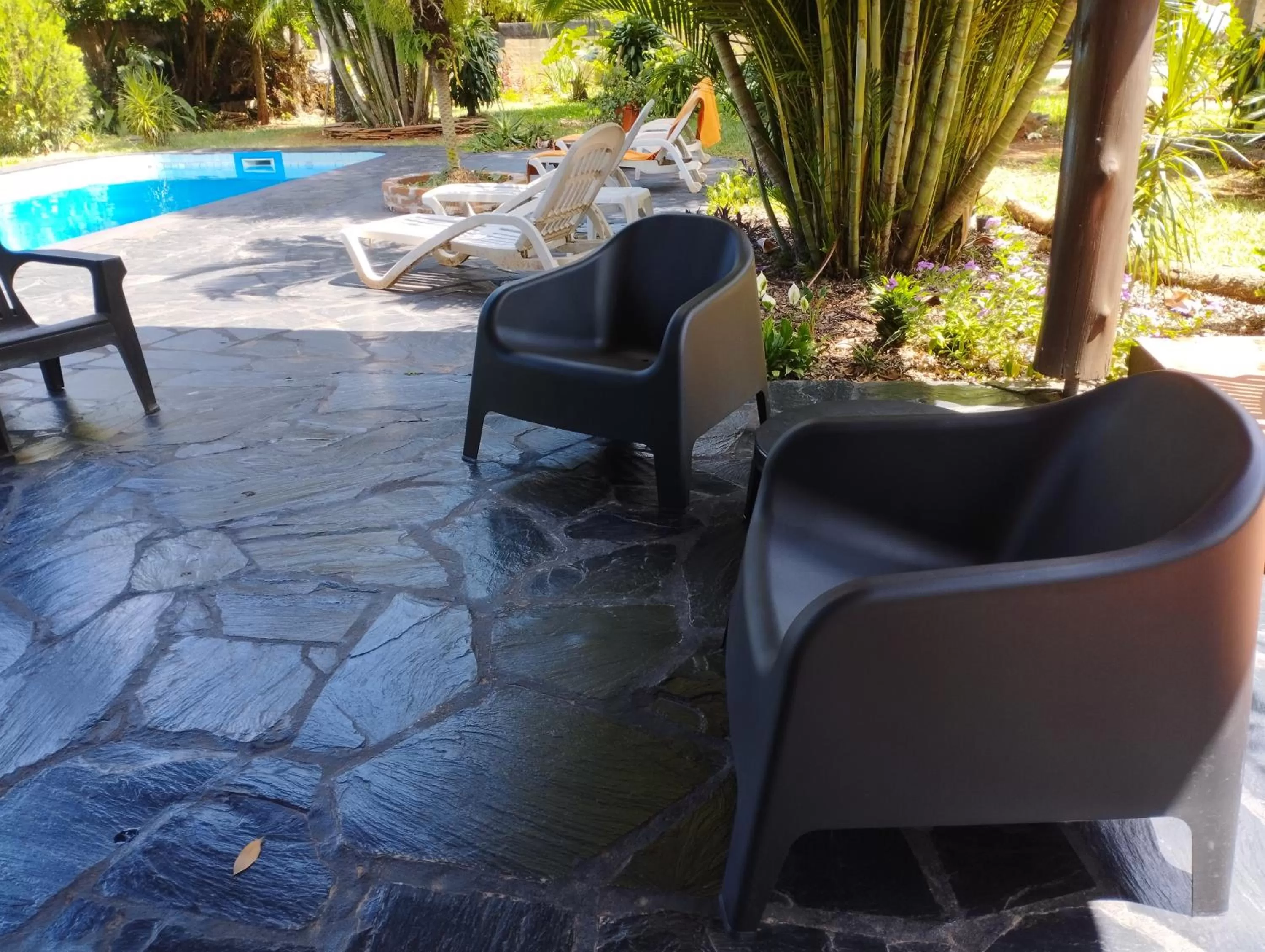 Swimming pool in Los Tangueros