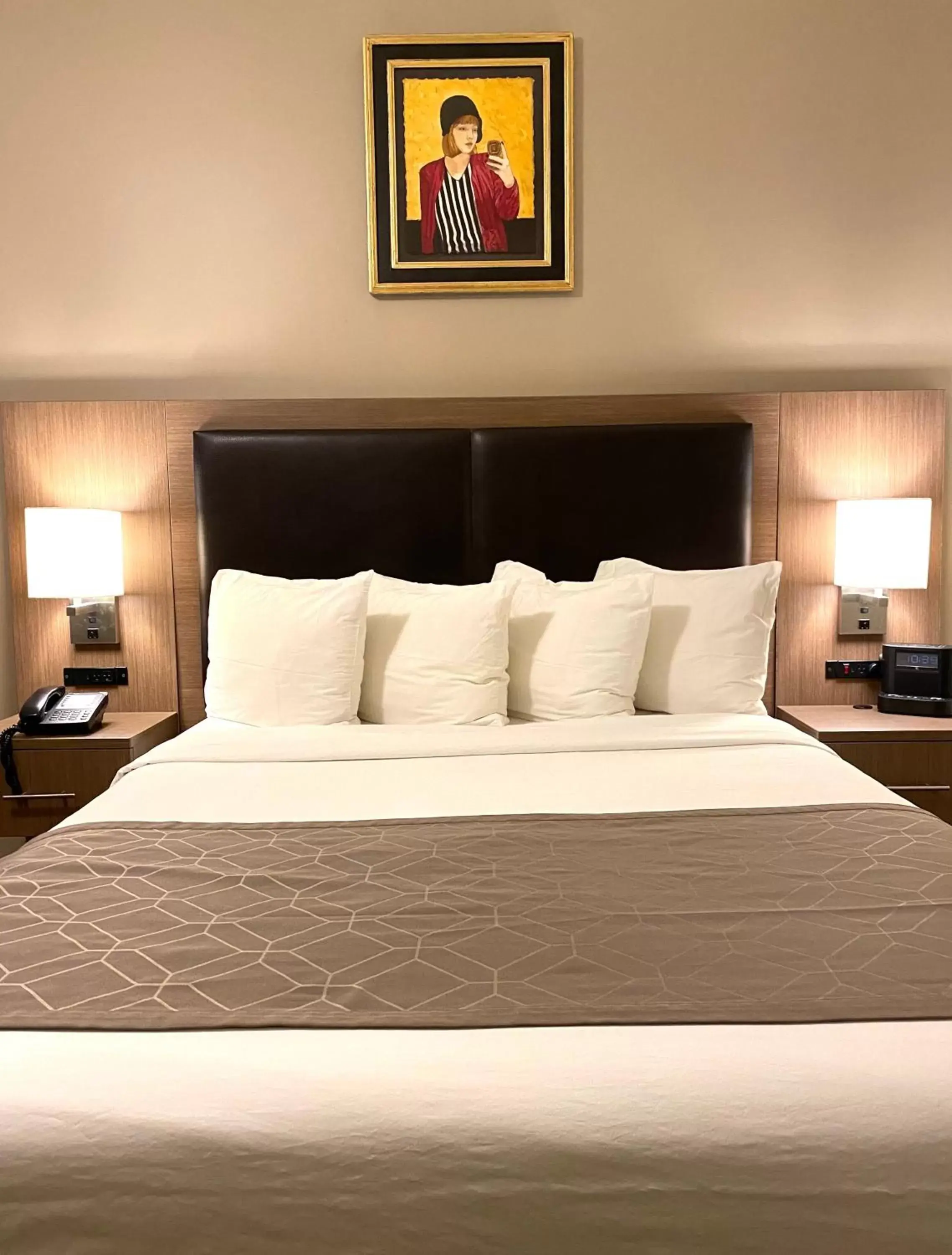 Bed in Historic Hotel Arvon