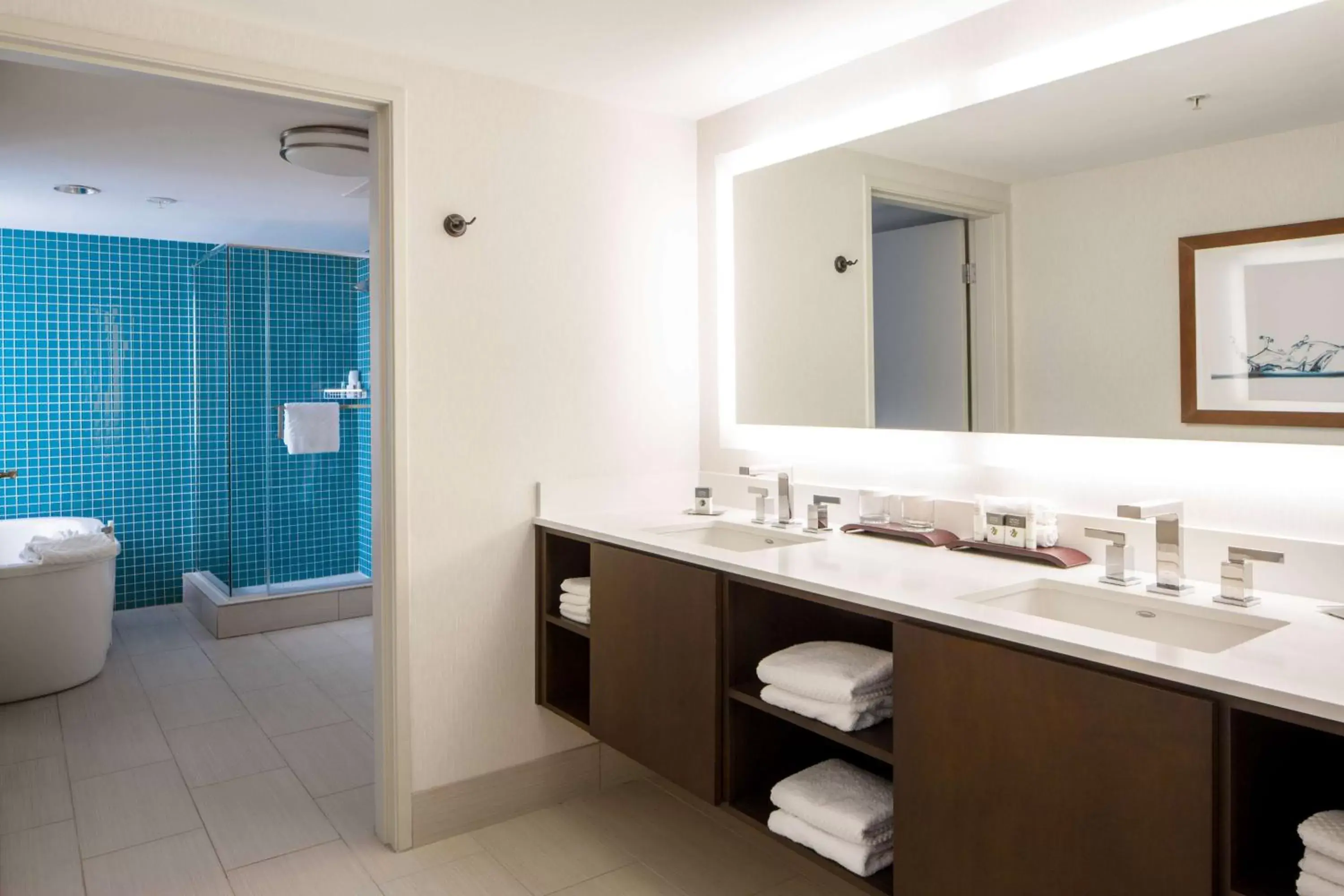 Bathroom in DoubleTree Suites by Hilton Doheny Beach