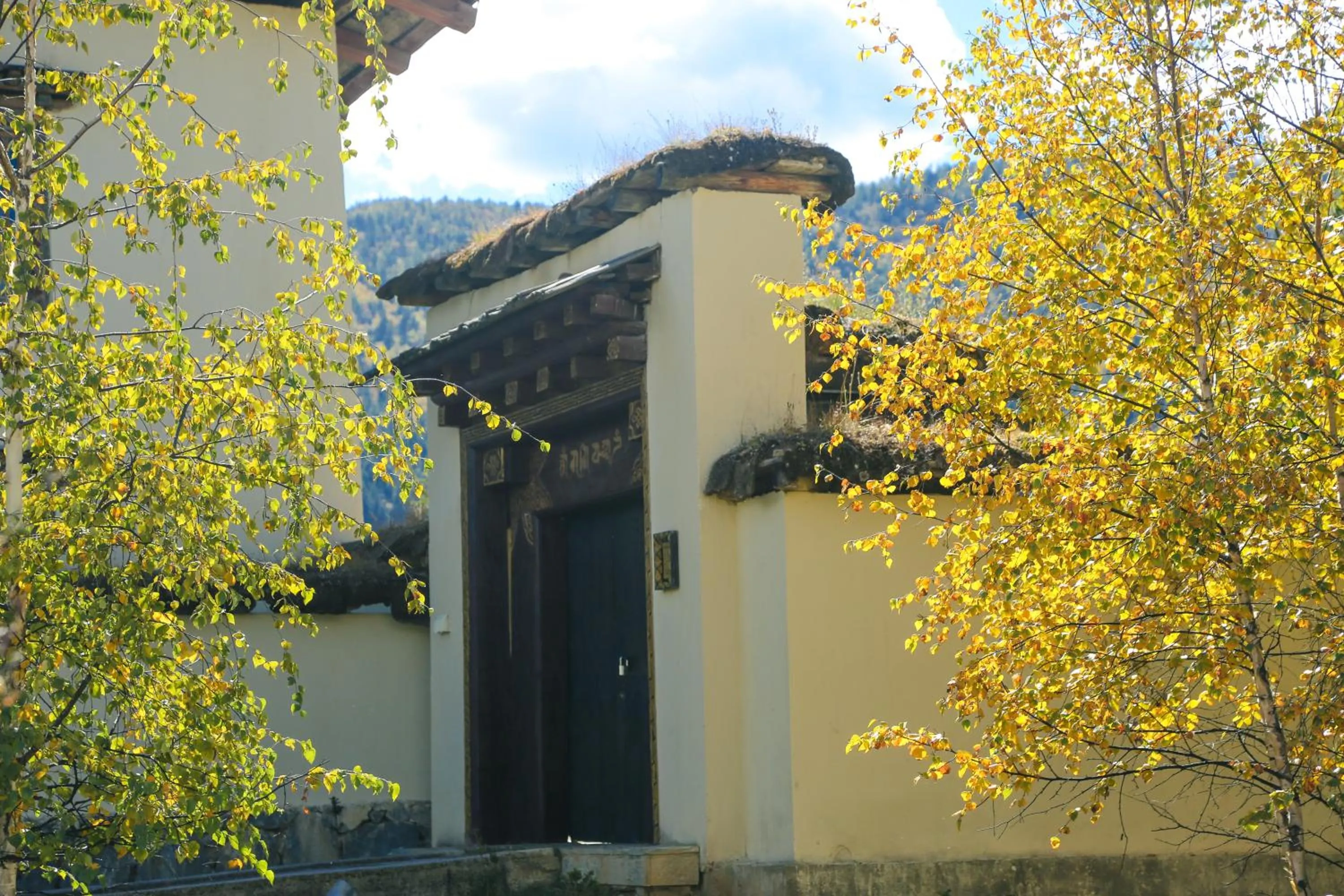 Property building in Banyan Tree Ringha