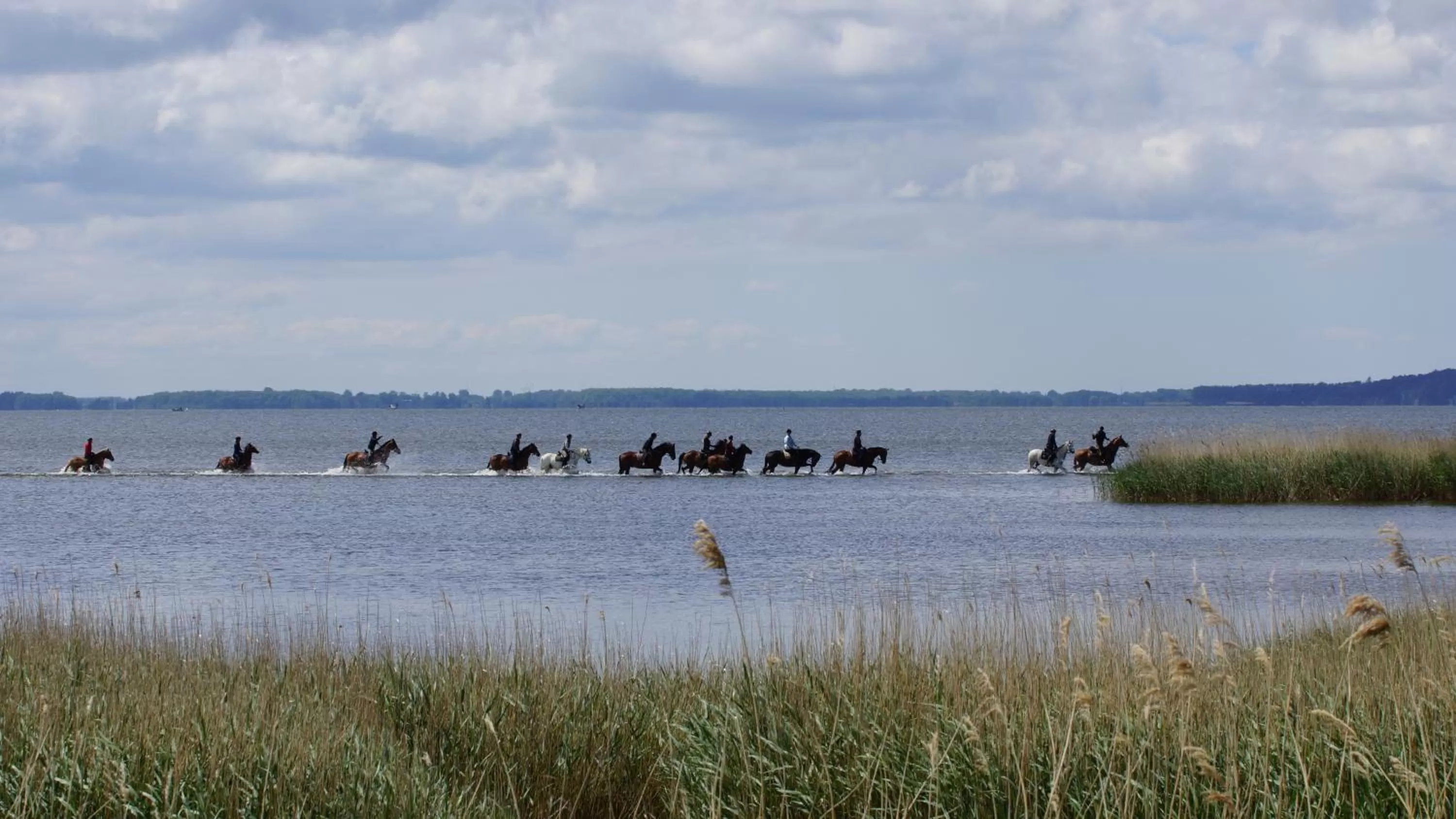 Horse-riding in Hotel Am Markt