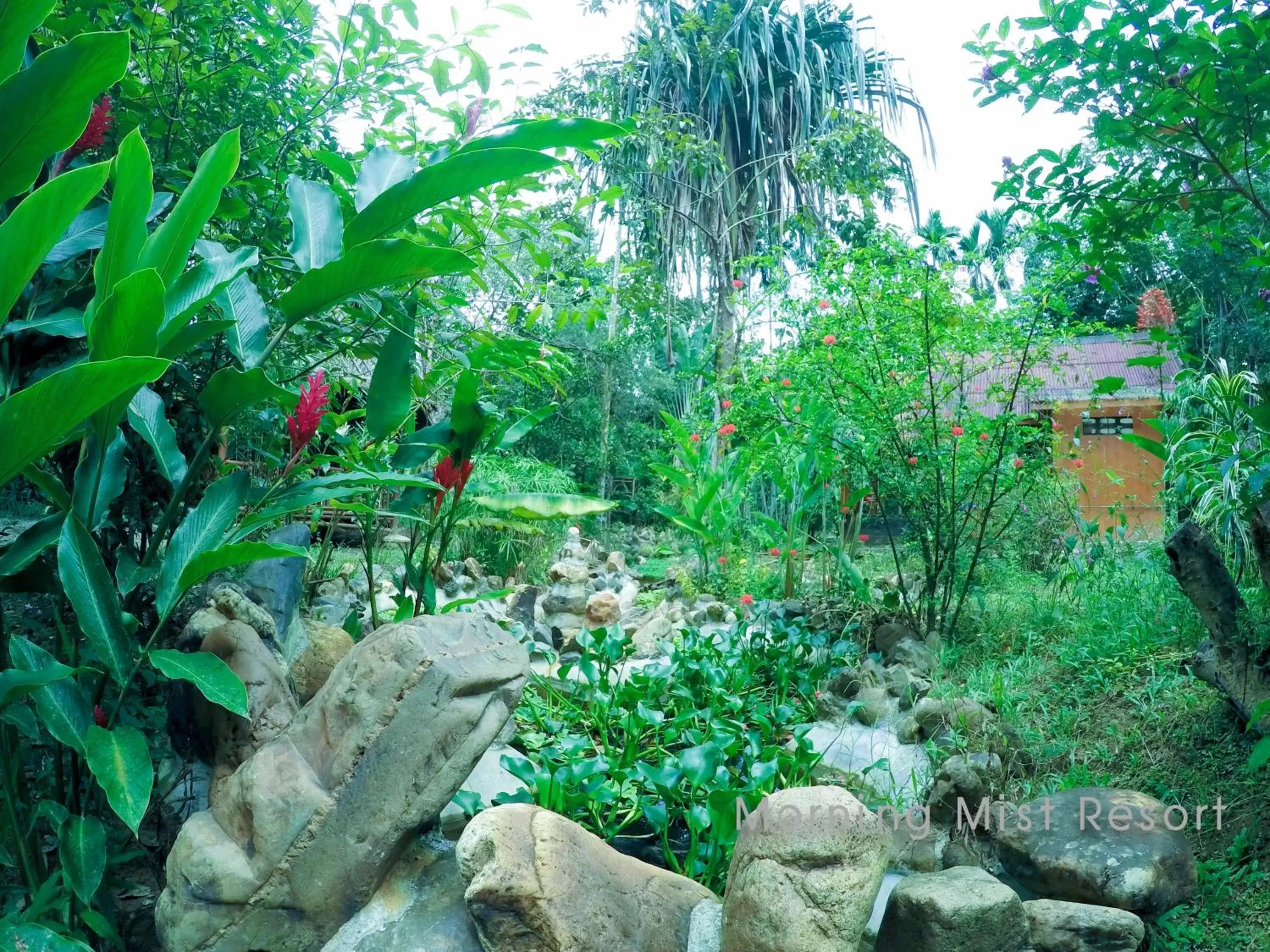 Garden in Khao Sok Morning Mist Resort