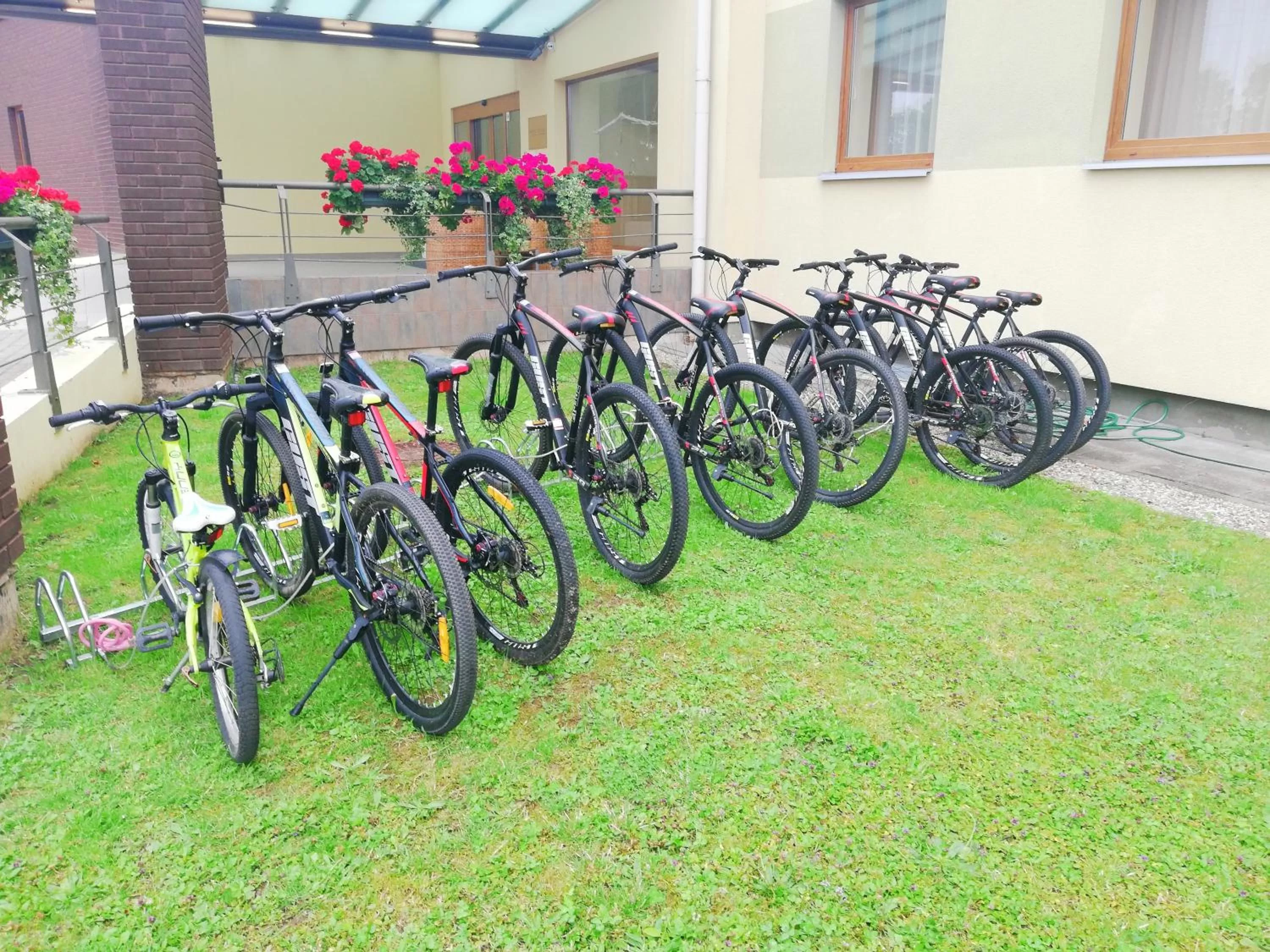 Activities in Hotel Tigra