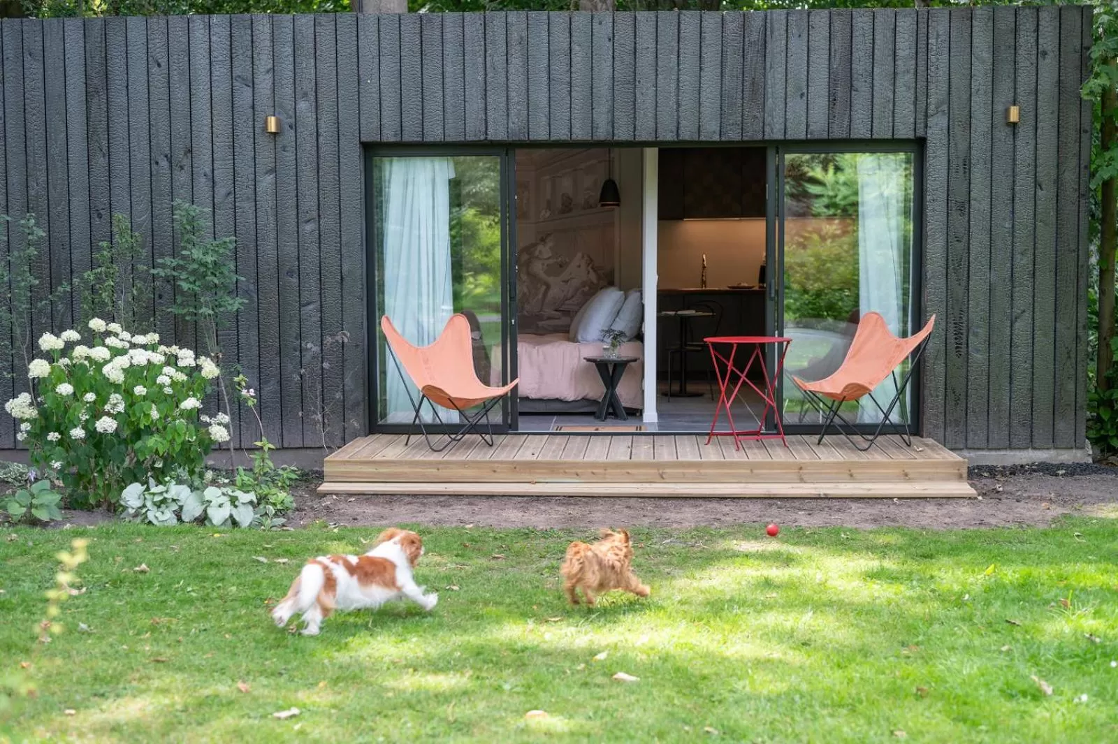 Pets in les Myrrhophores et Spa, Chambres d'Hôtes et Gîtes de charme