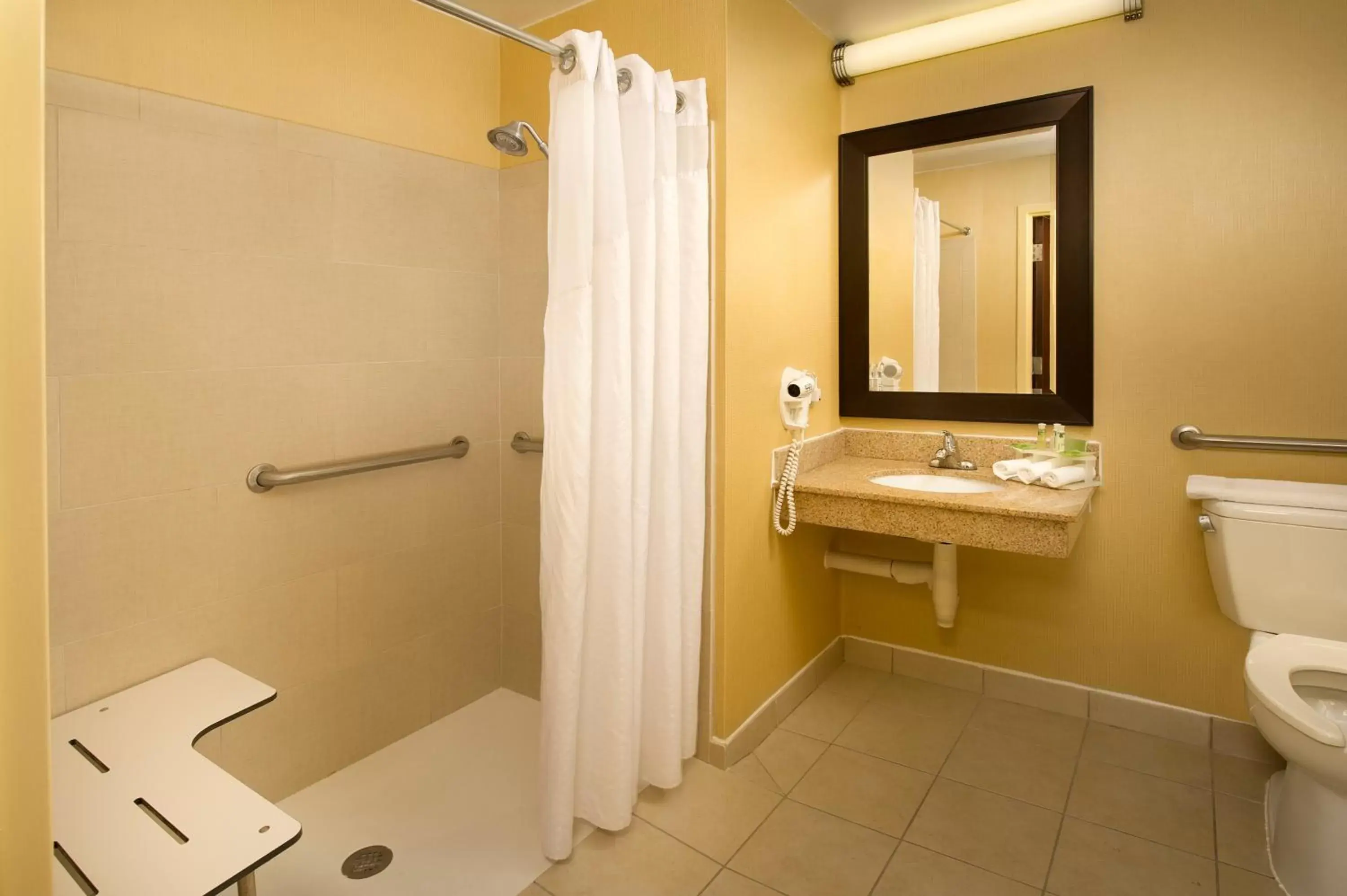 Bathroom in Holiday Inn Express Washington DC-BW Parkway, an IHG Hotel