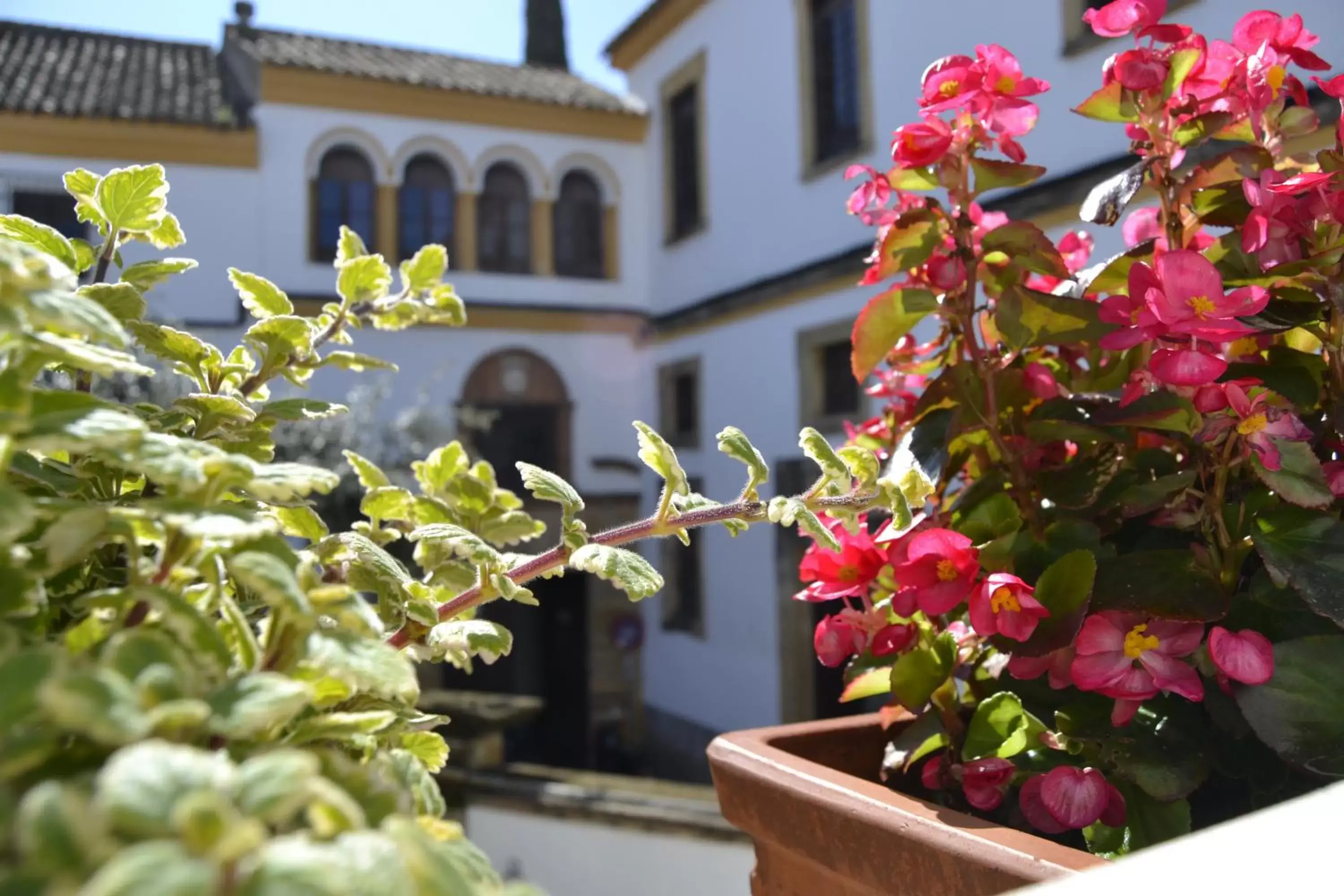 Street view, Property Building in La Llave de la Judería Hotel Boutique