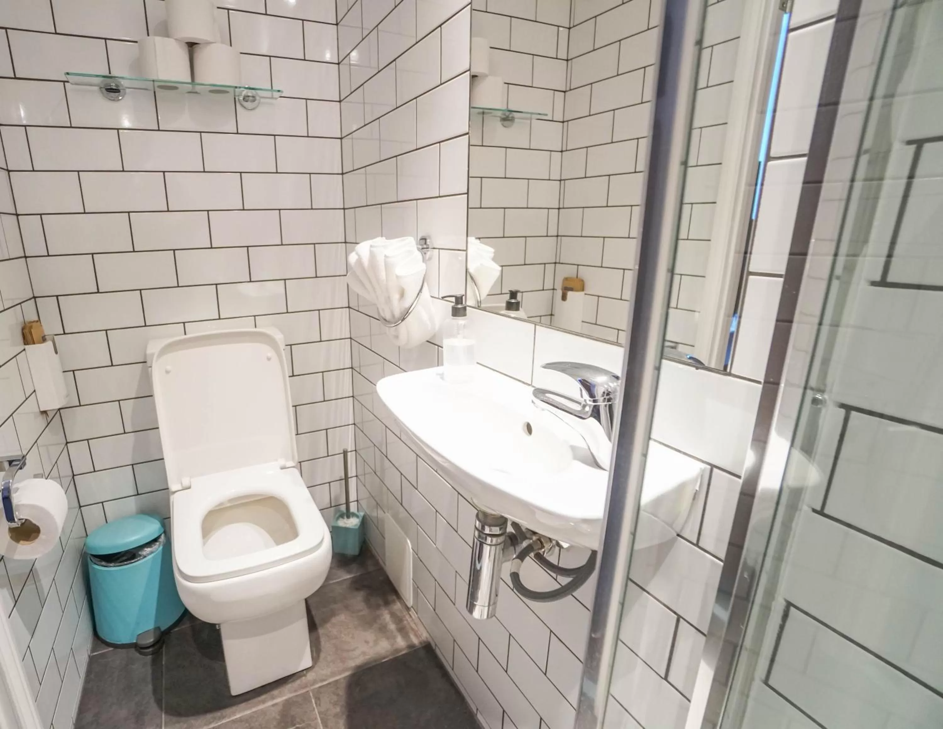 Toilet in St Athans Hotel