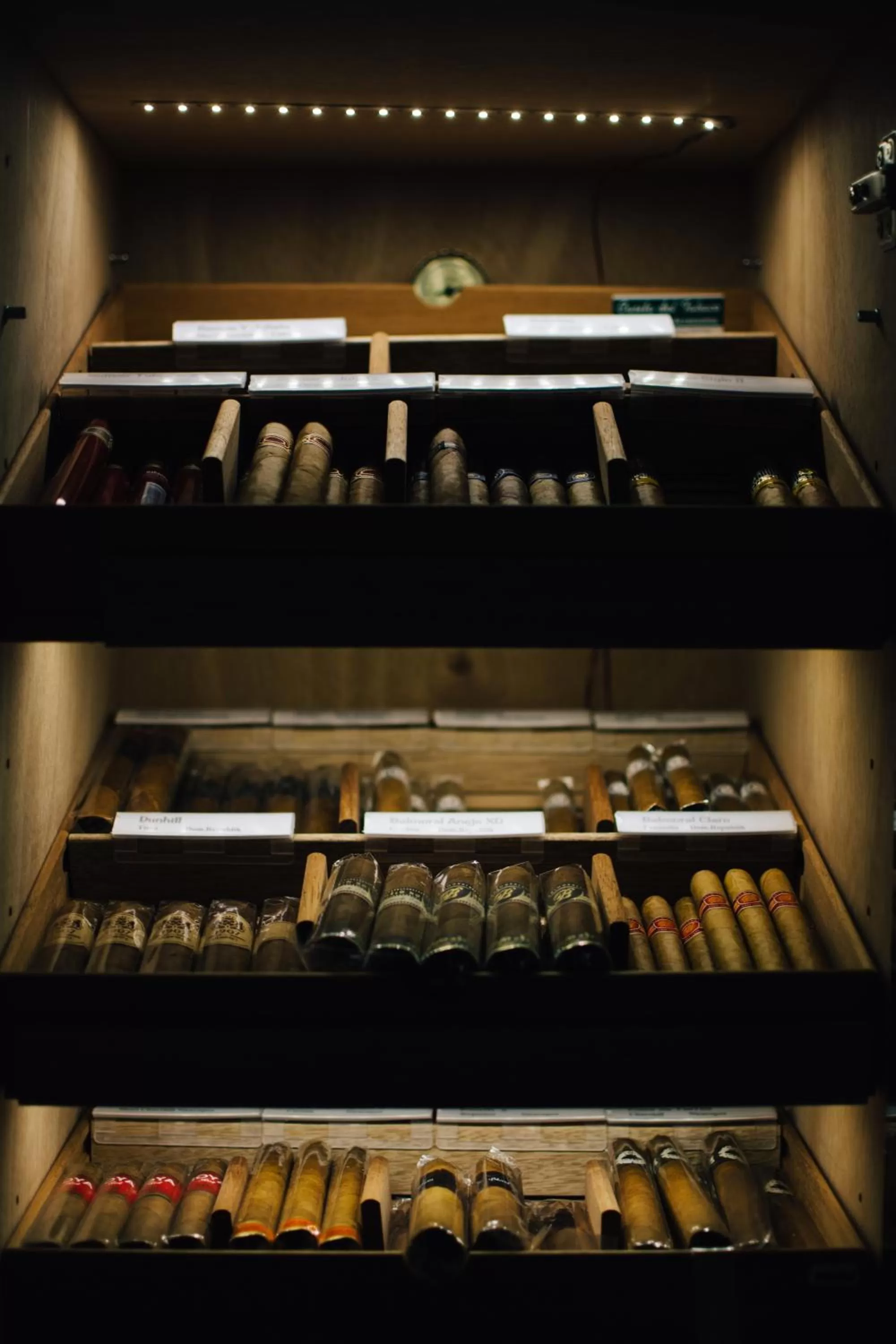 Lounge or bar in Parkhotel FRITZ am Brunnen