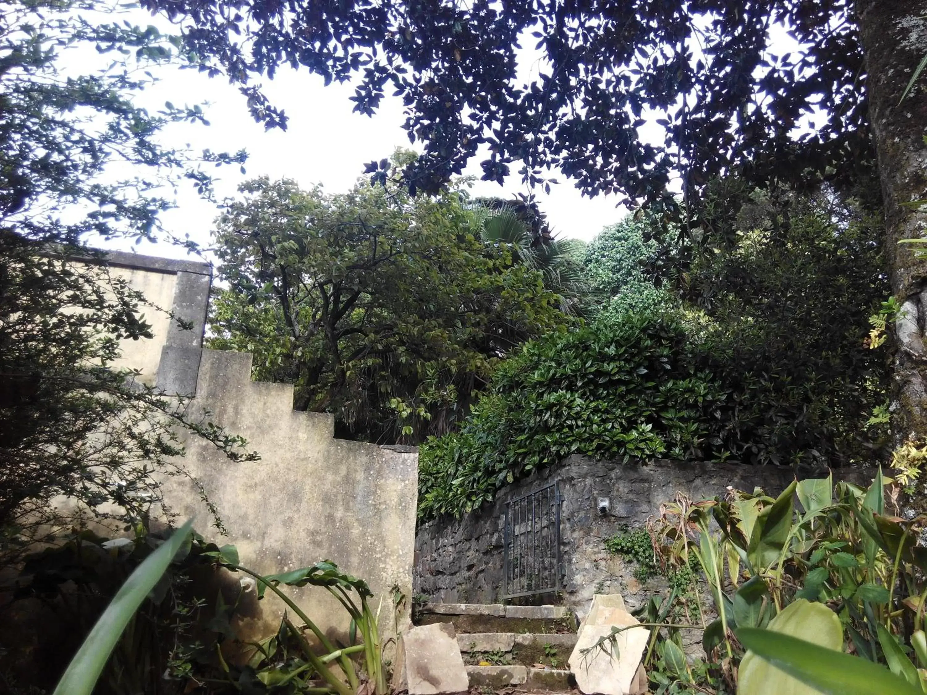 Garden in Guest House Villa dos Poetas