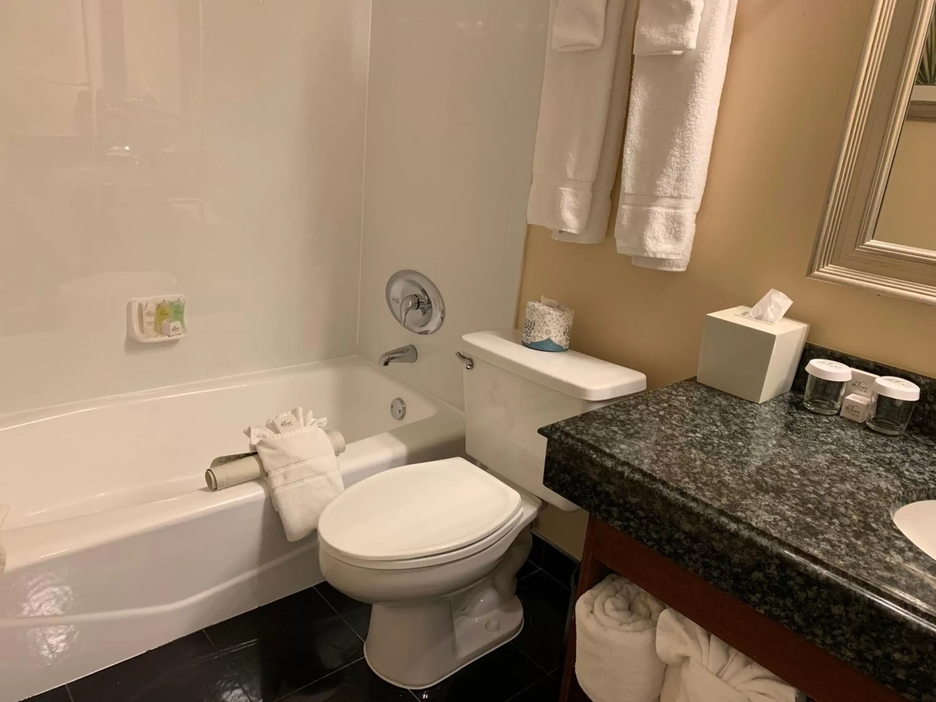 Toilet, Bathroom in The Lago Mar Beach Resort and Club