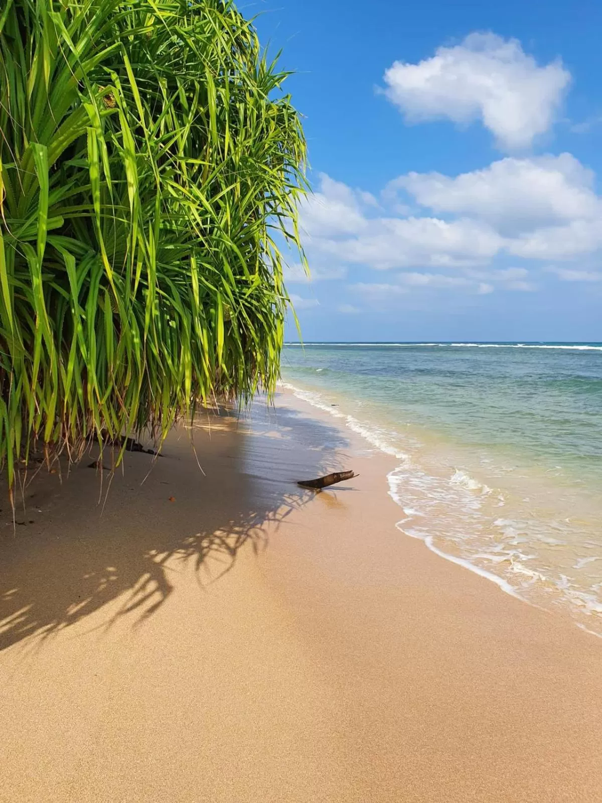 Beach in 108 Palms Beach Resort