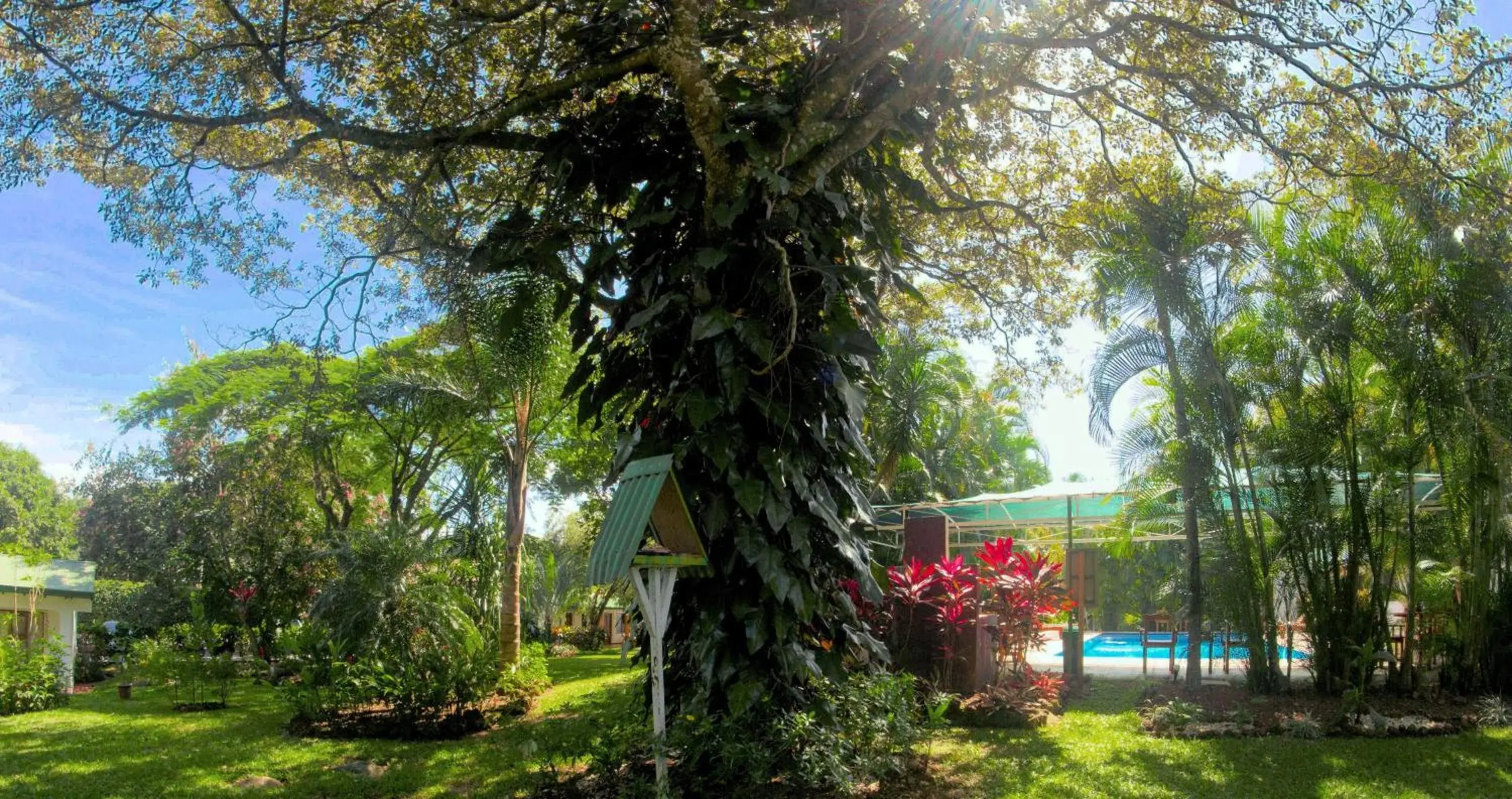 Facade/entrance, Garden in Hotel La Rosa de America