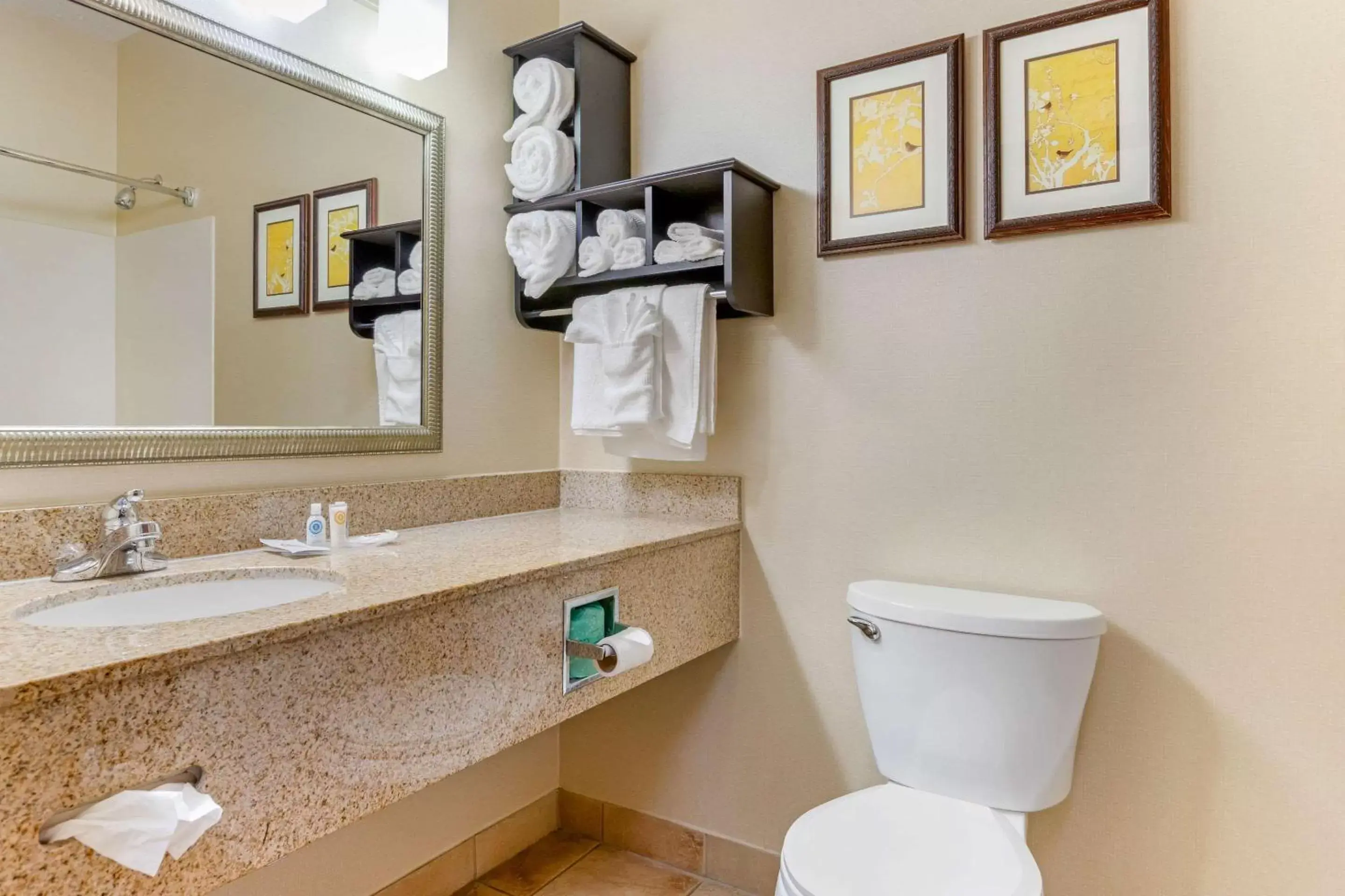 Bathroom in Comfort Suites Southfield