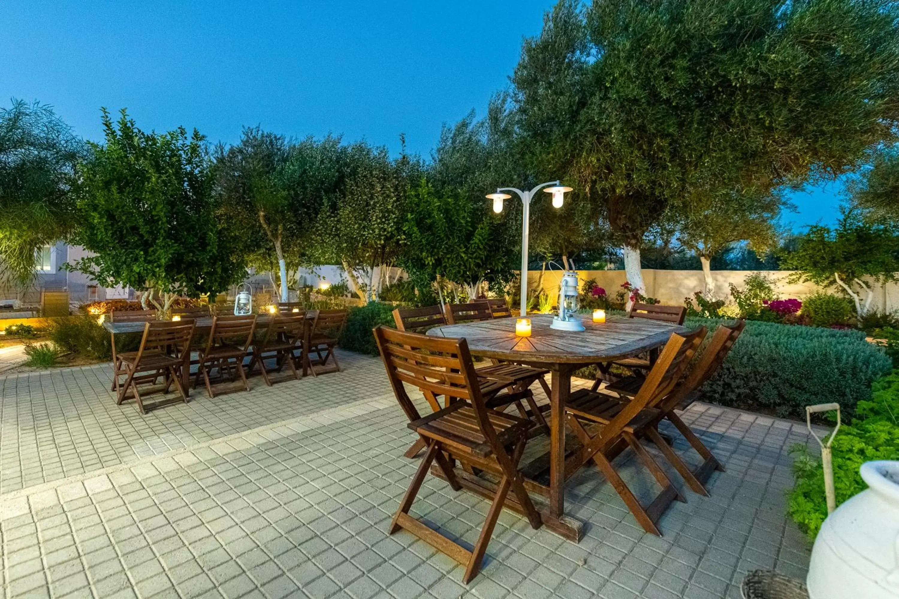 Garden view in Comfort Stay Airport Studios - FREE shuttle from the Athens airport