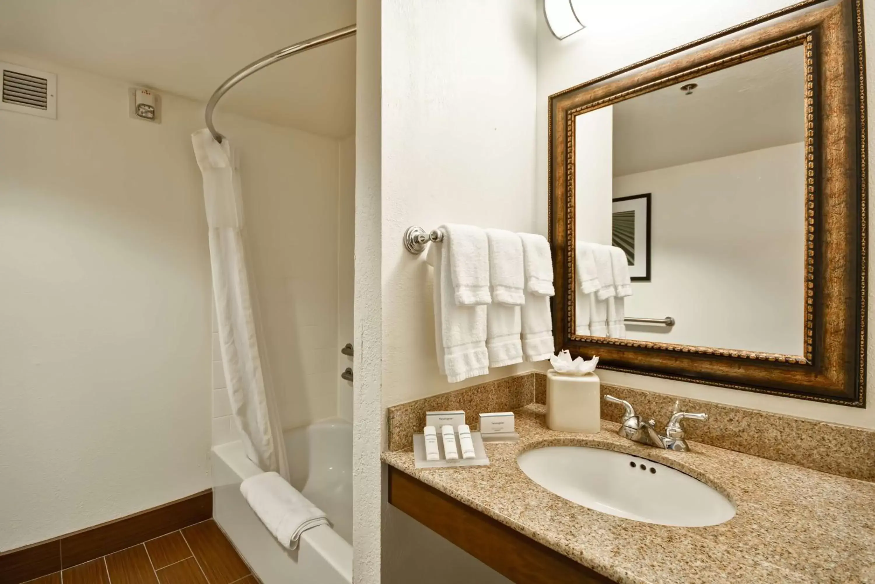 Bathroom in Hilton Garden Inn Sarasota-Bradenton Airport
