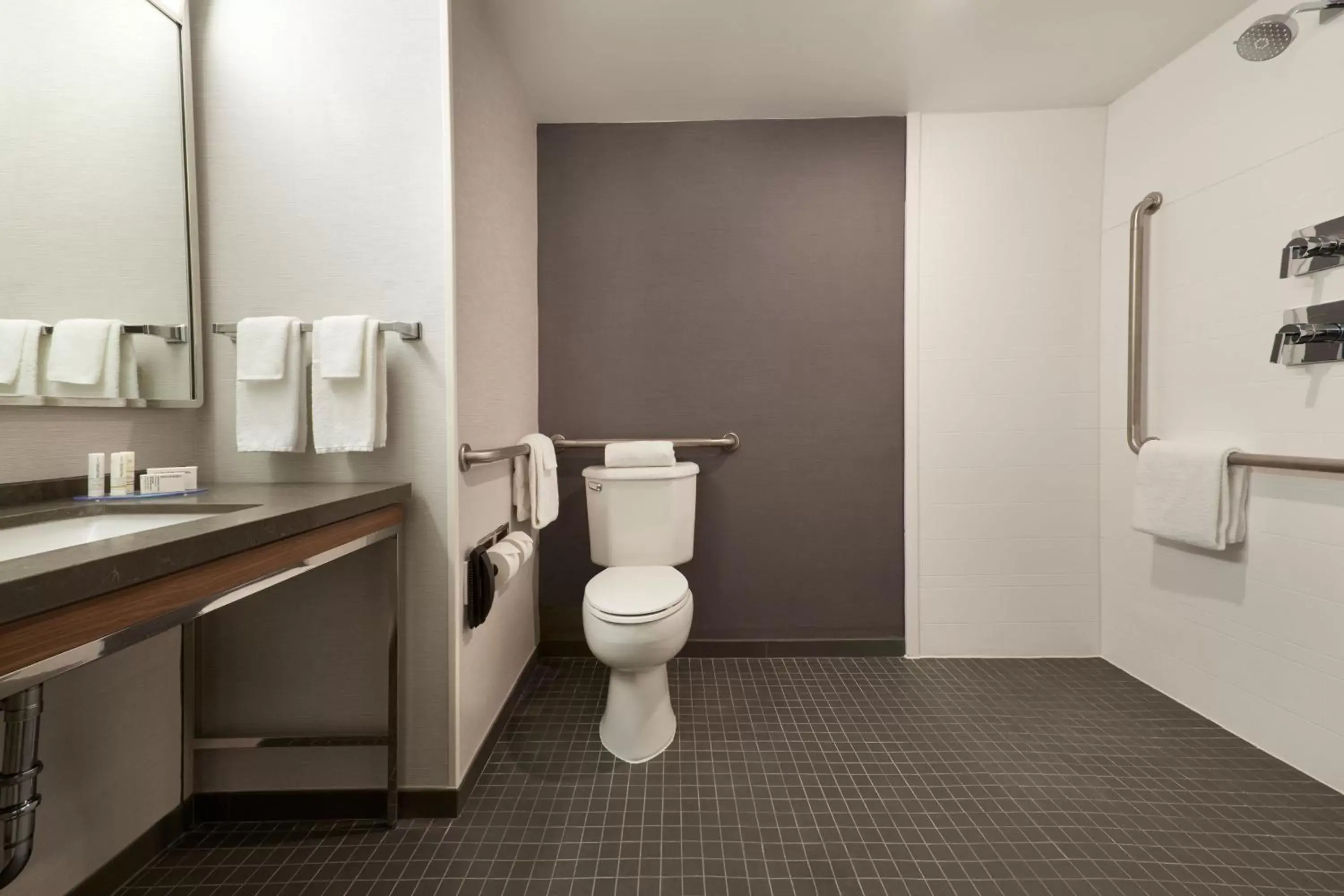 Bathroom in Courtyard by Marriott Toronto Mississauga/Meadowvale