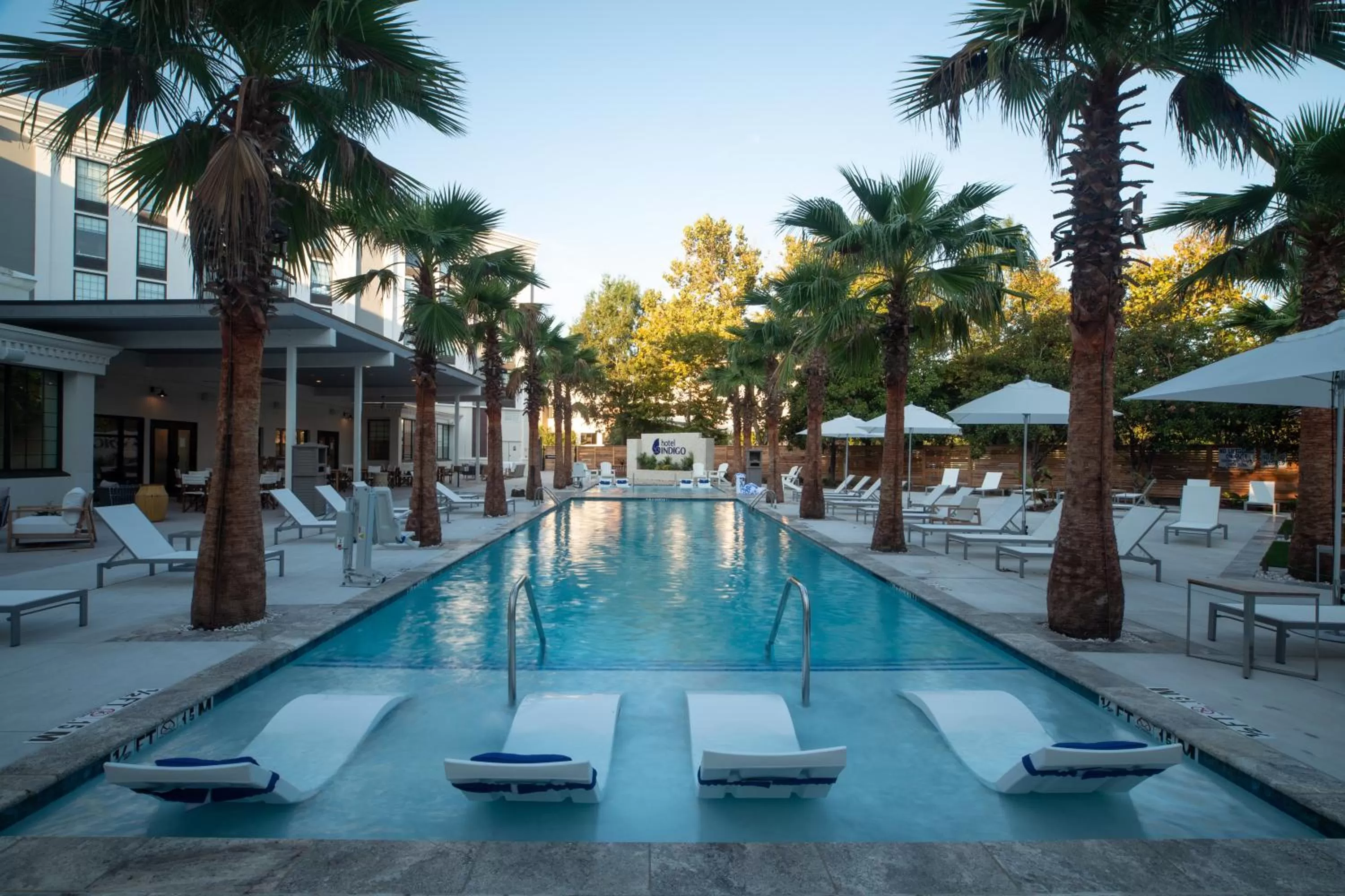 Swimming pool in Hotel Indigo Mount Pleasant by IHG