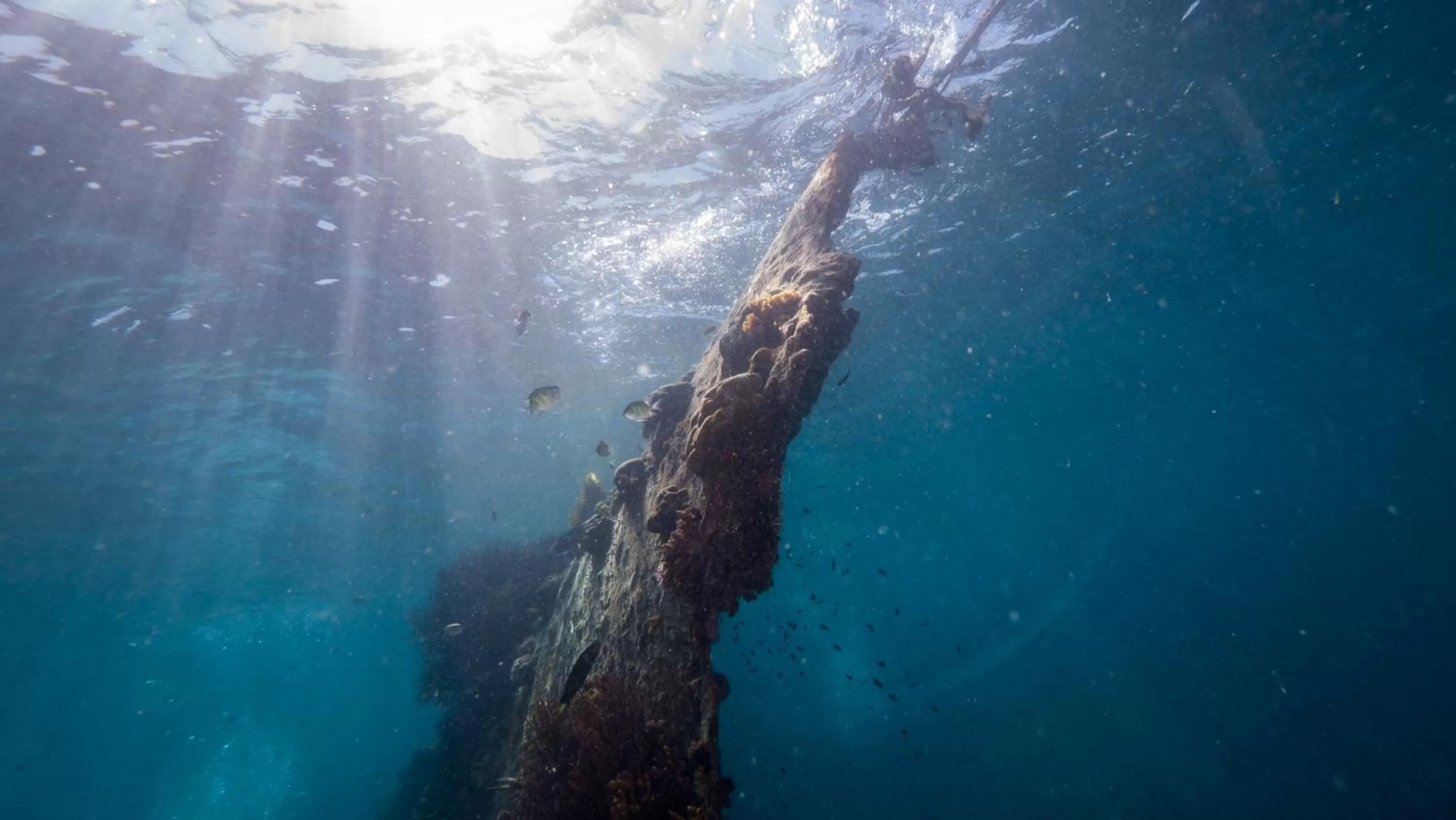 Nearby landmark in Chindonan Dive and Beach Resort
