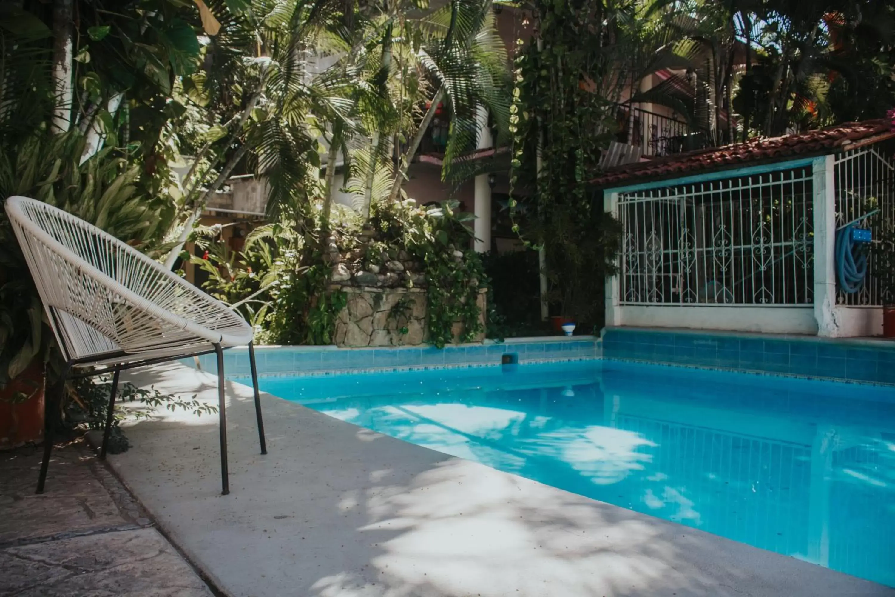 Pool view, Swimming Pool in Hotel Posada San Jose