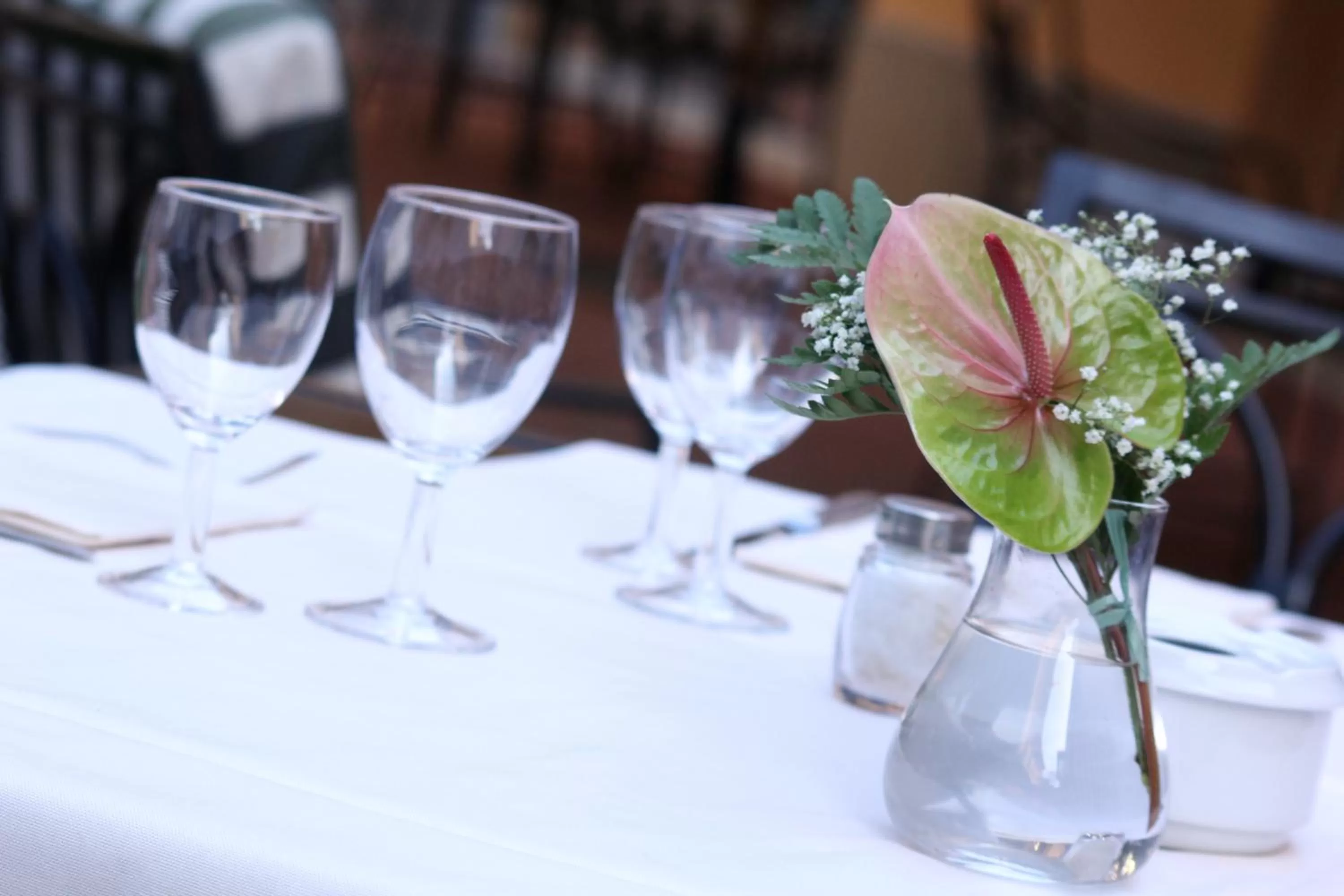 Restaurant/places to eat in Hotel Albani Firenze