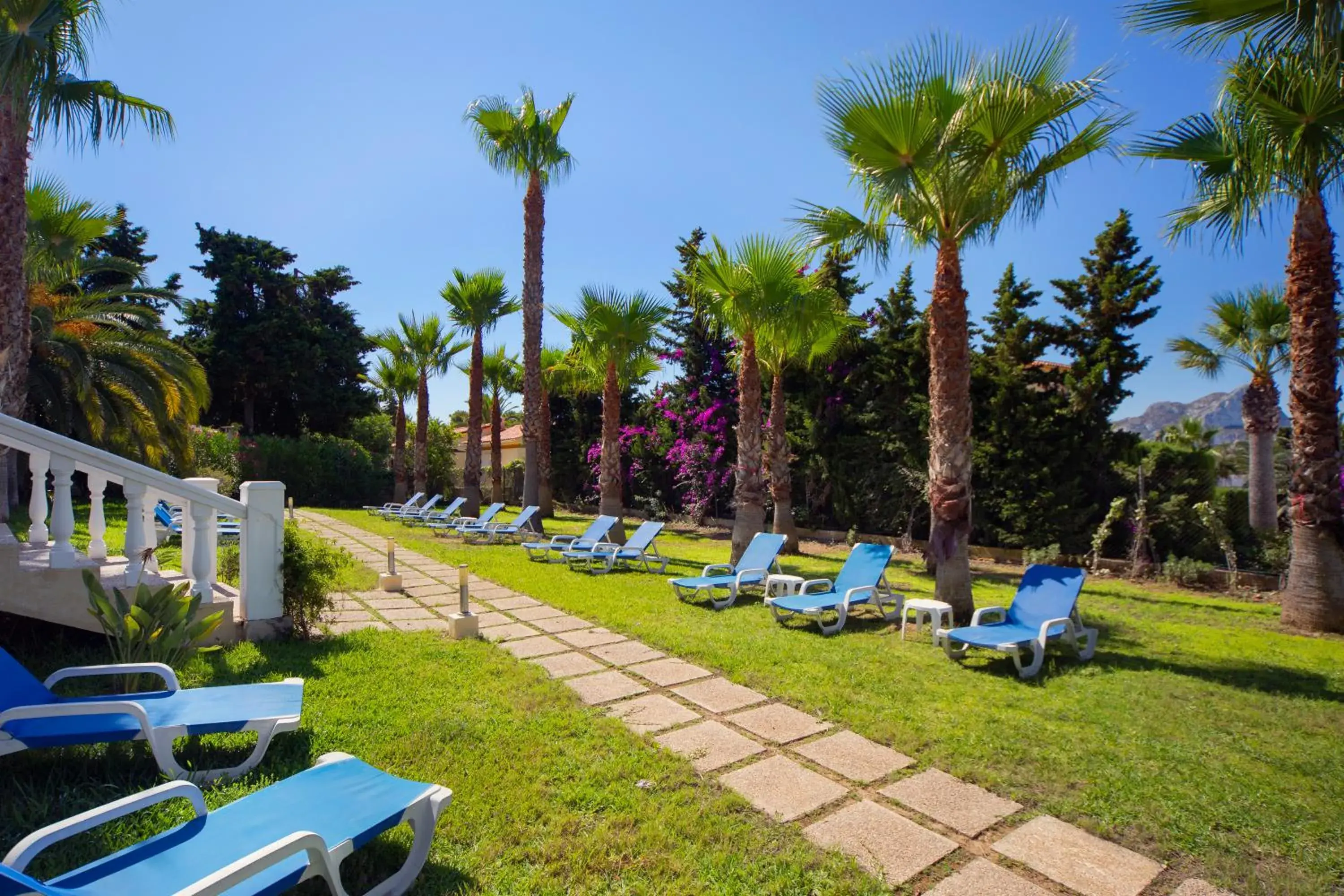 Garden in Aparthotel Carrio Sol - Monty´s