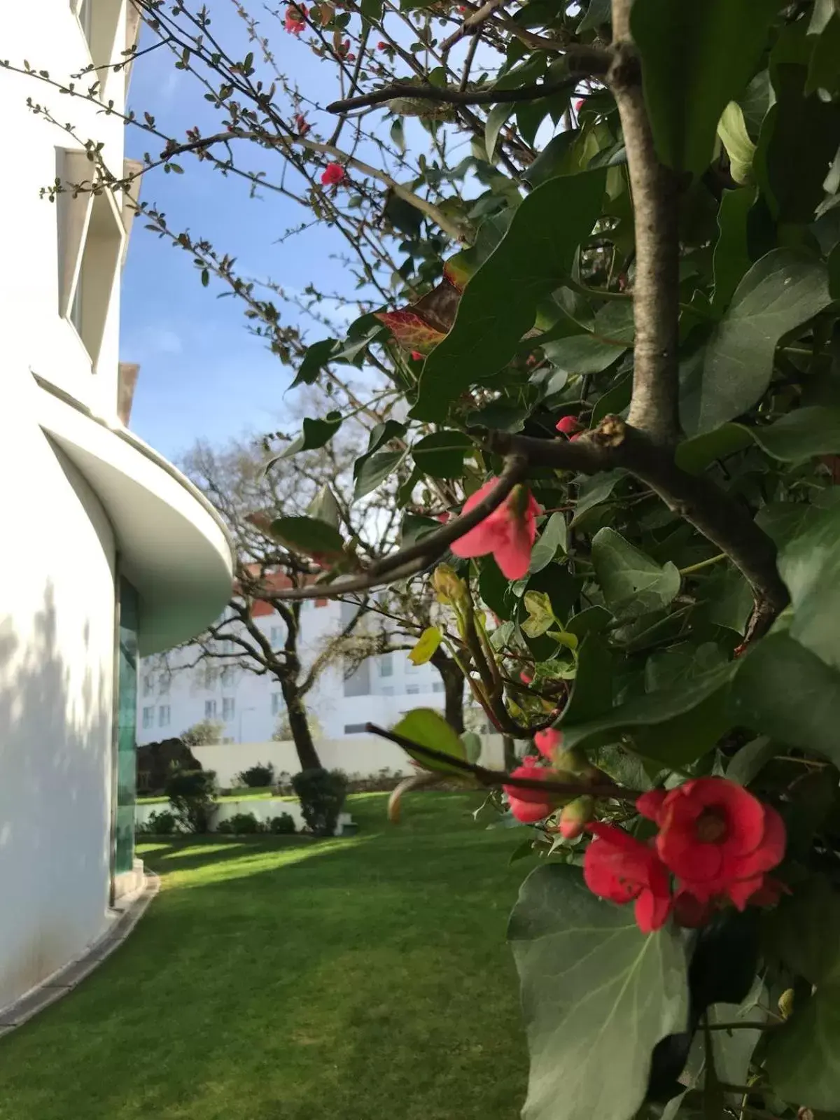 Garden in Hotel Santa Maria