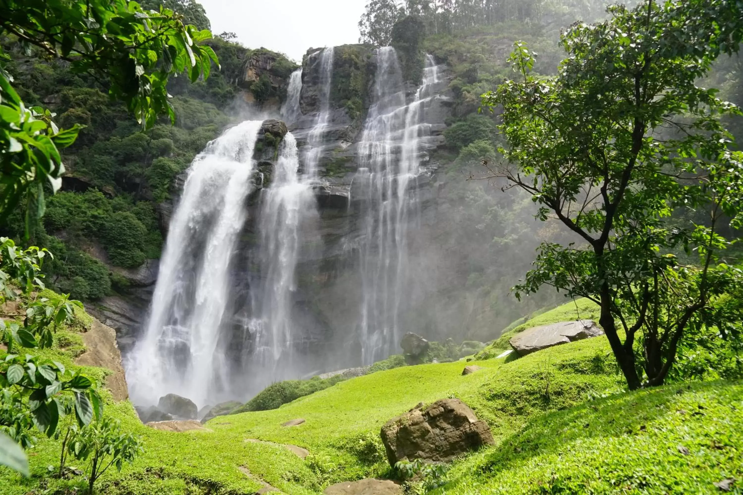 Natural landscape in The Grand Hotel - Heritage Grand