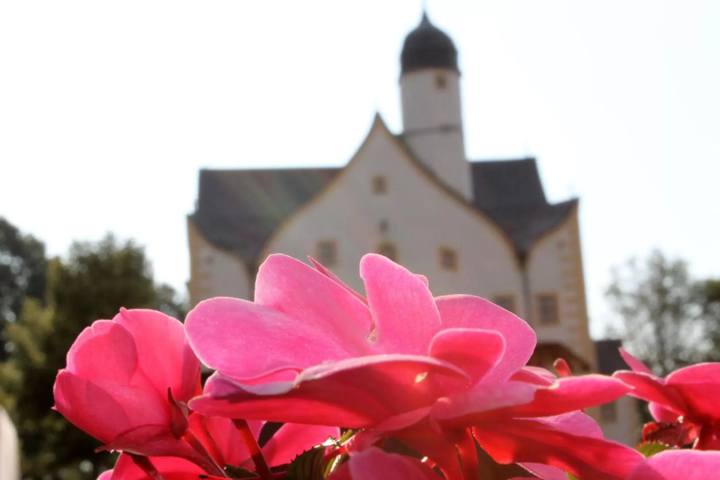 Facade/entrance in Schlosshotel Klaffenbach Facade/entrance in Schlosshotel Klaffenbach