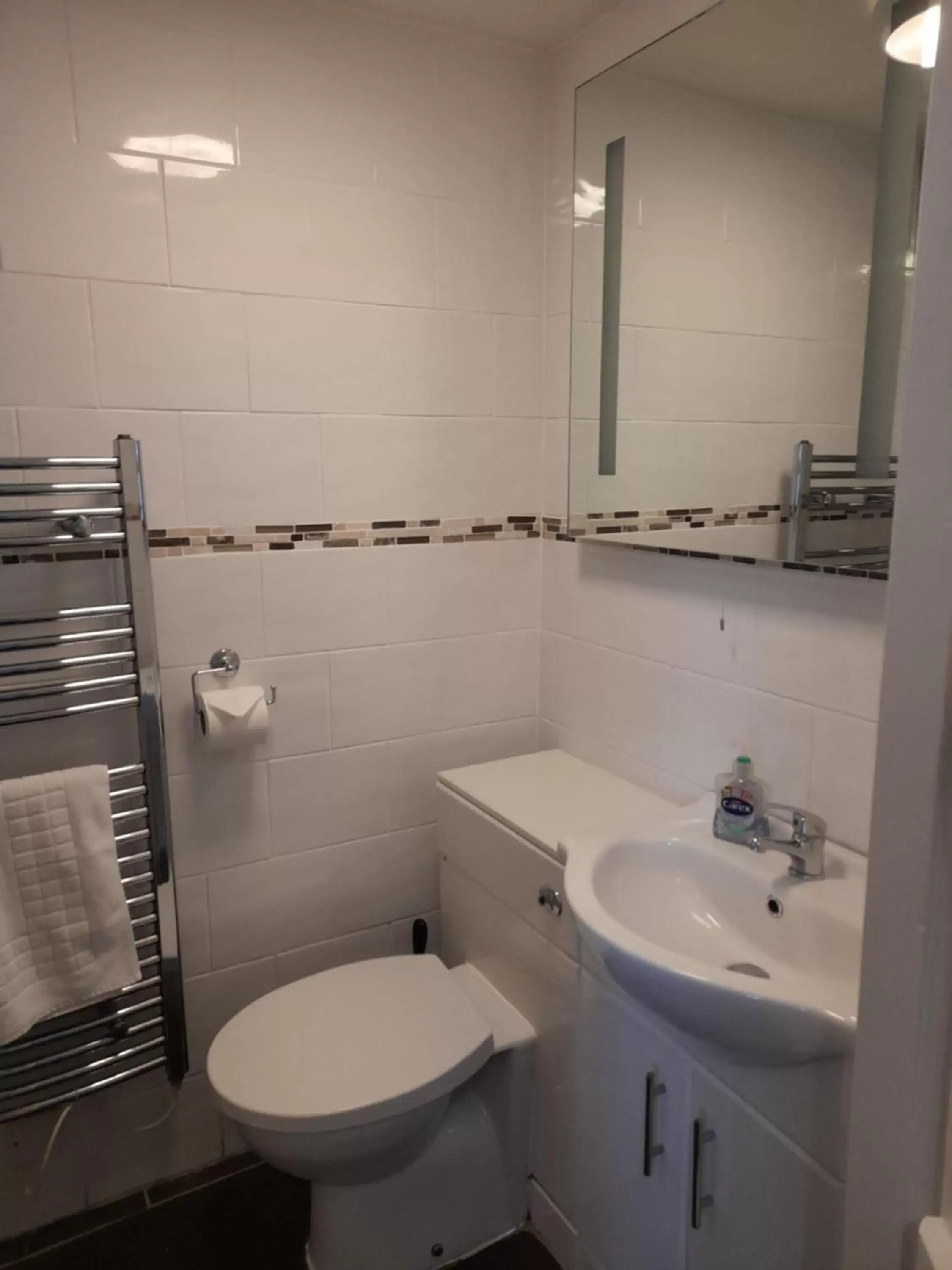 Twin Studio in The Raven Inn Twin Studio in The Raven Inn