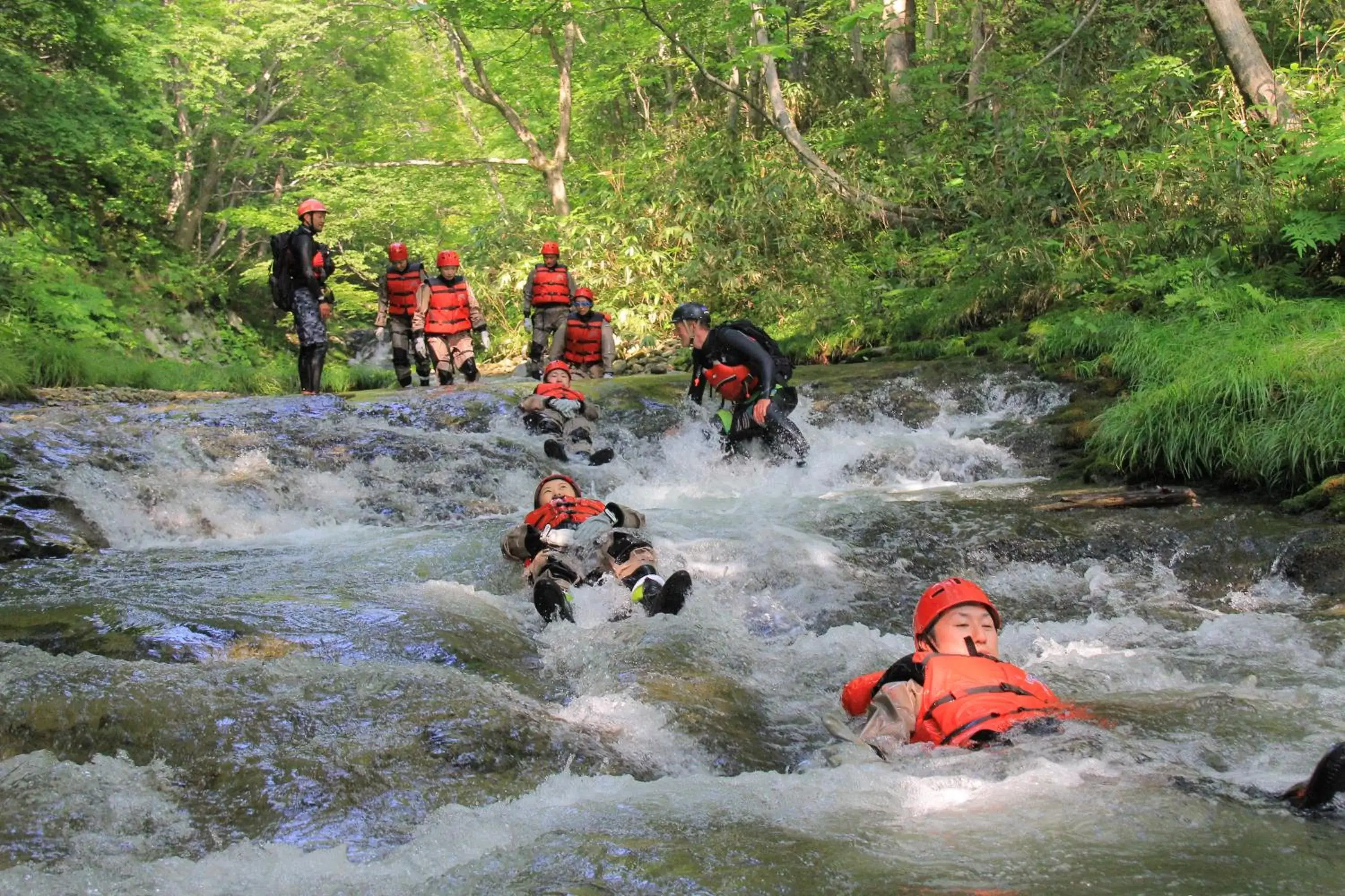 Activities, Other Activities in Ki Niseko