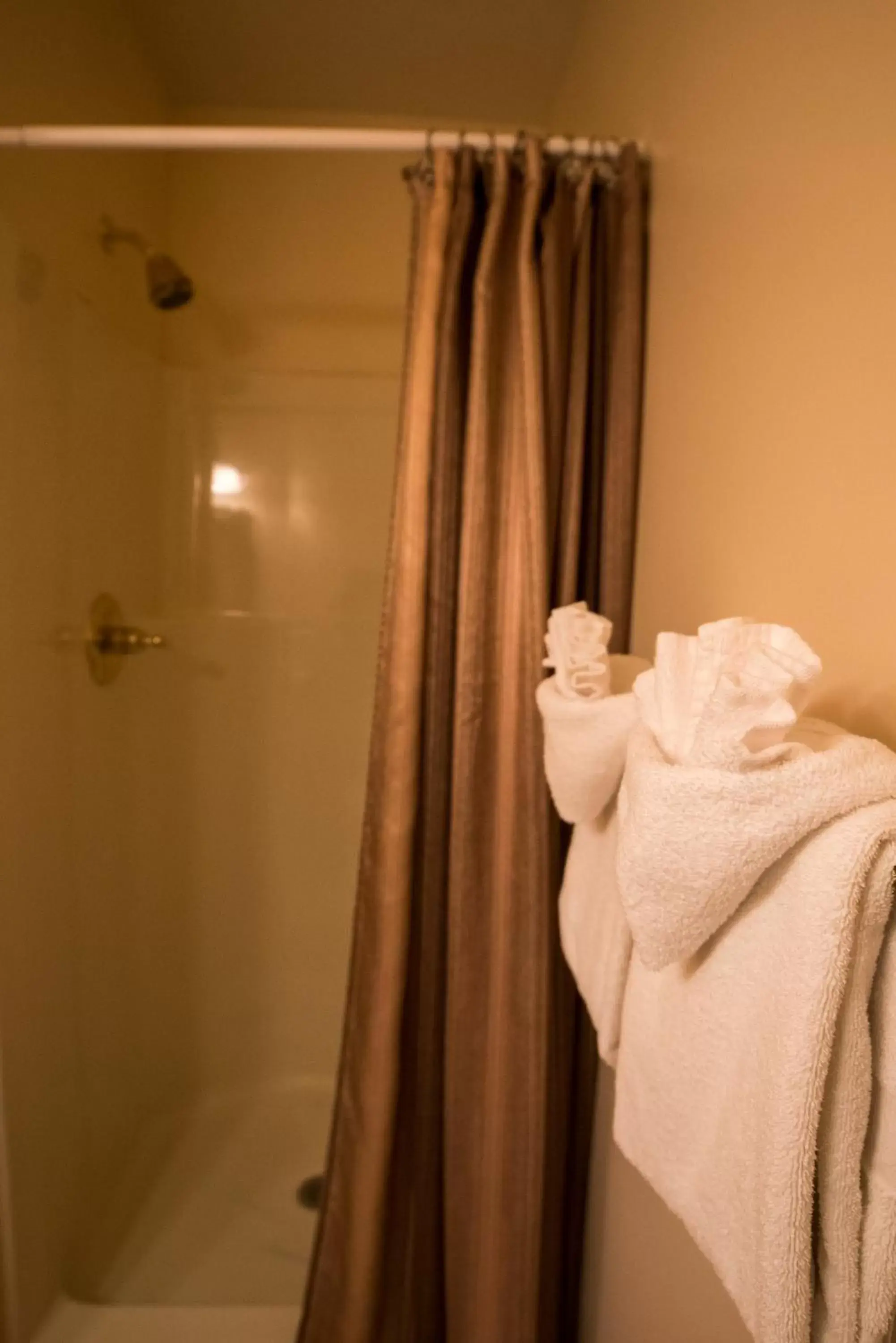 Shower, Bathroom in Appenzell Inn