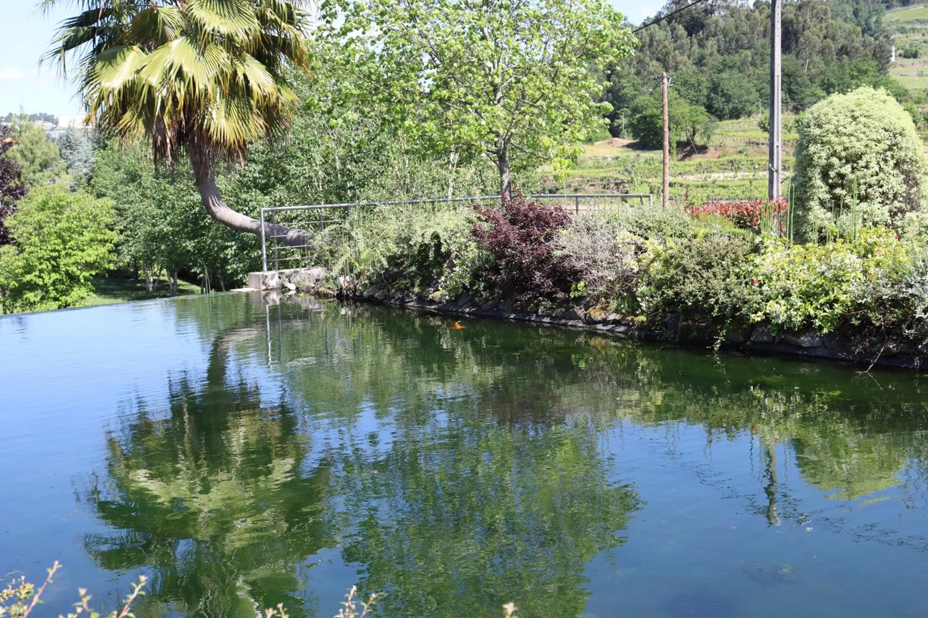 Lake view in FH Hotel Rural