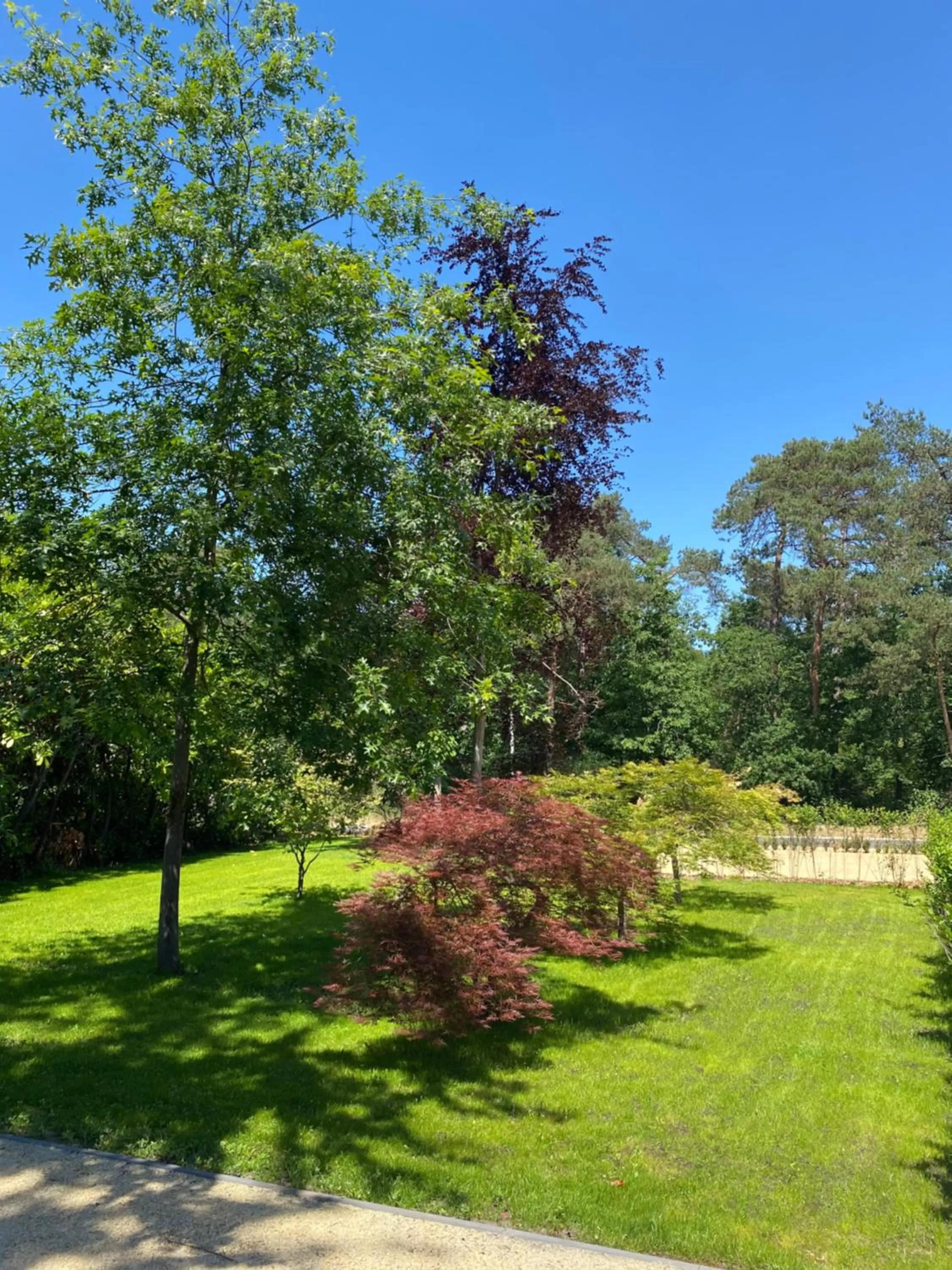 Property building in 't Wilgenhuys