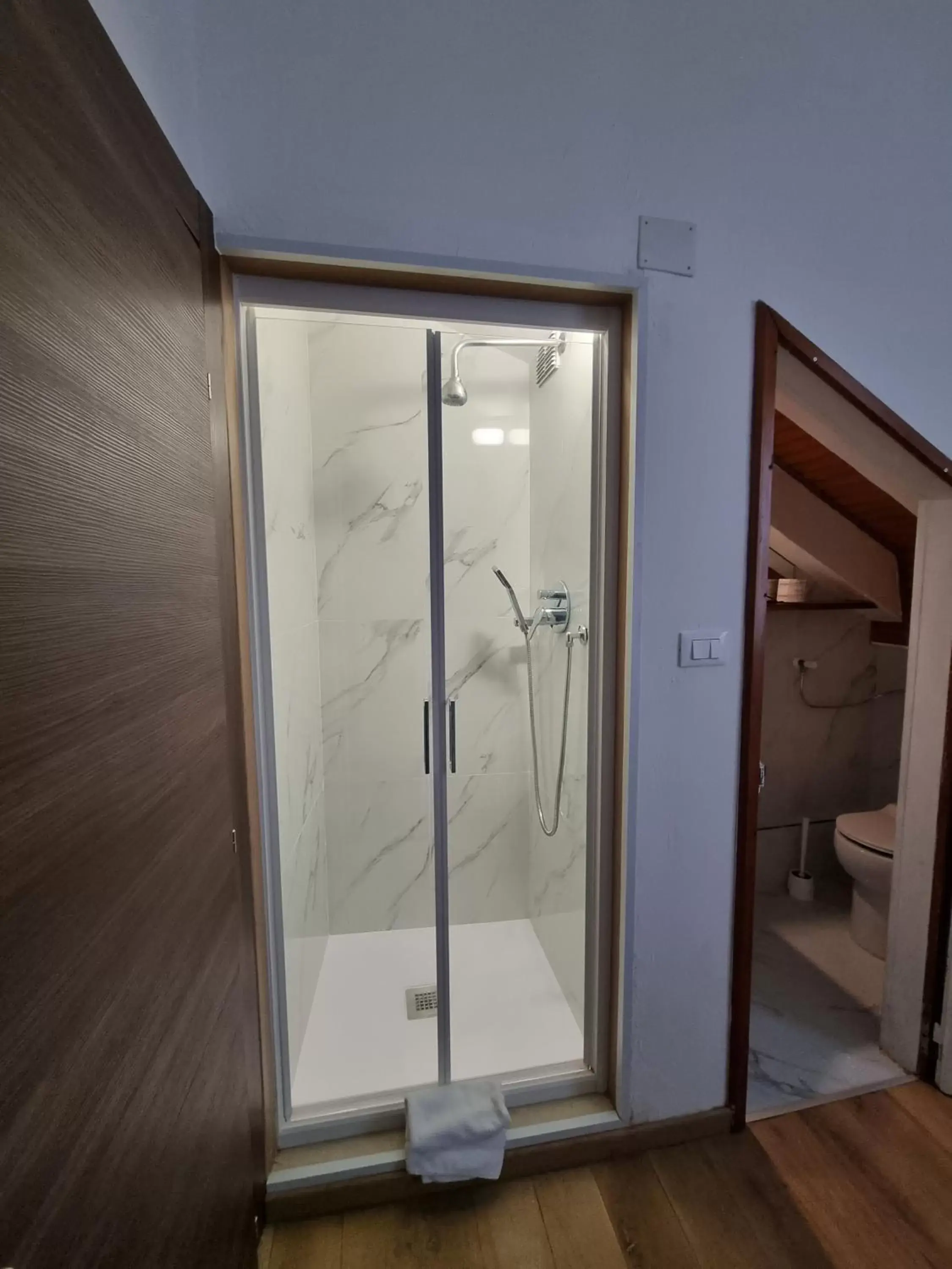 Shower, Bathroom in Albergo Casa Peron