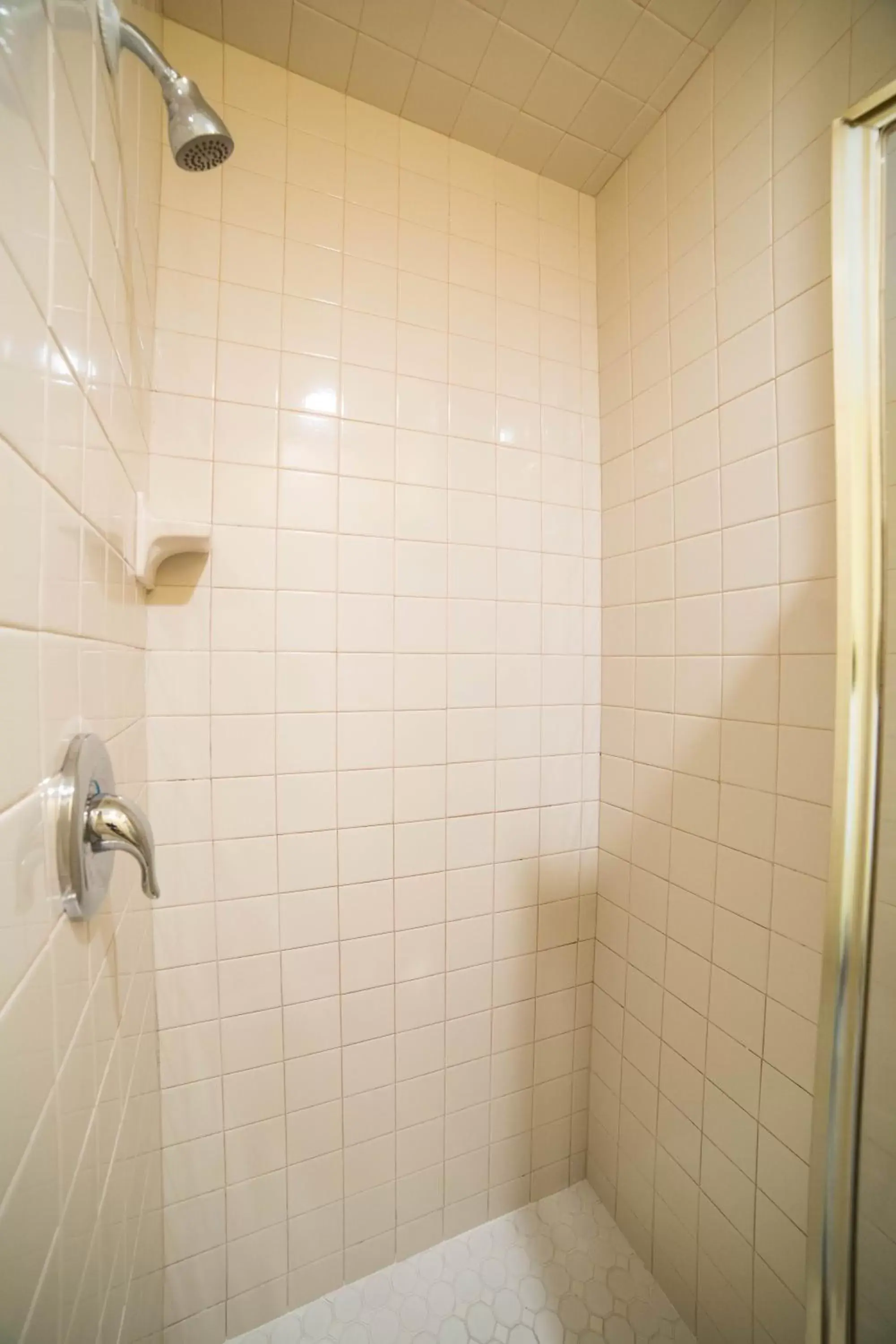 Shower, Bathroom in El Patio Inn