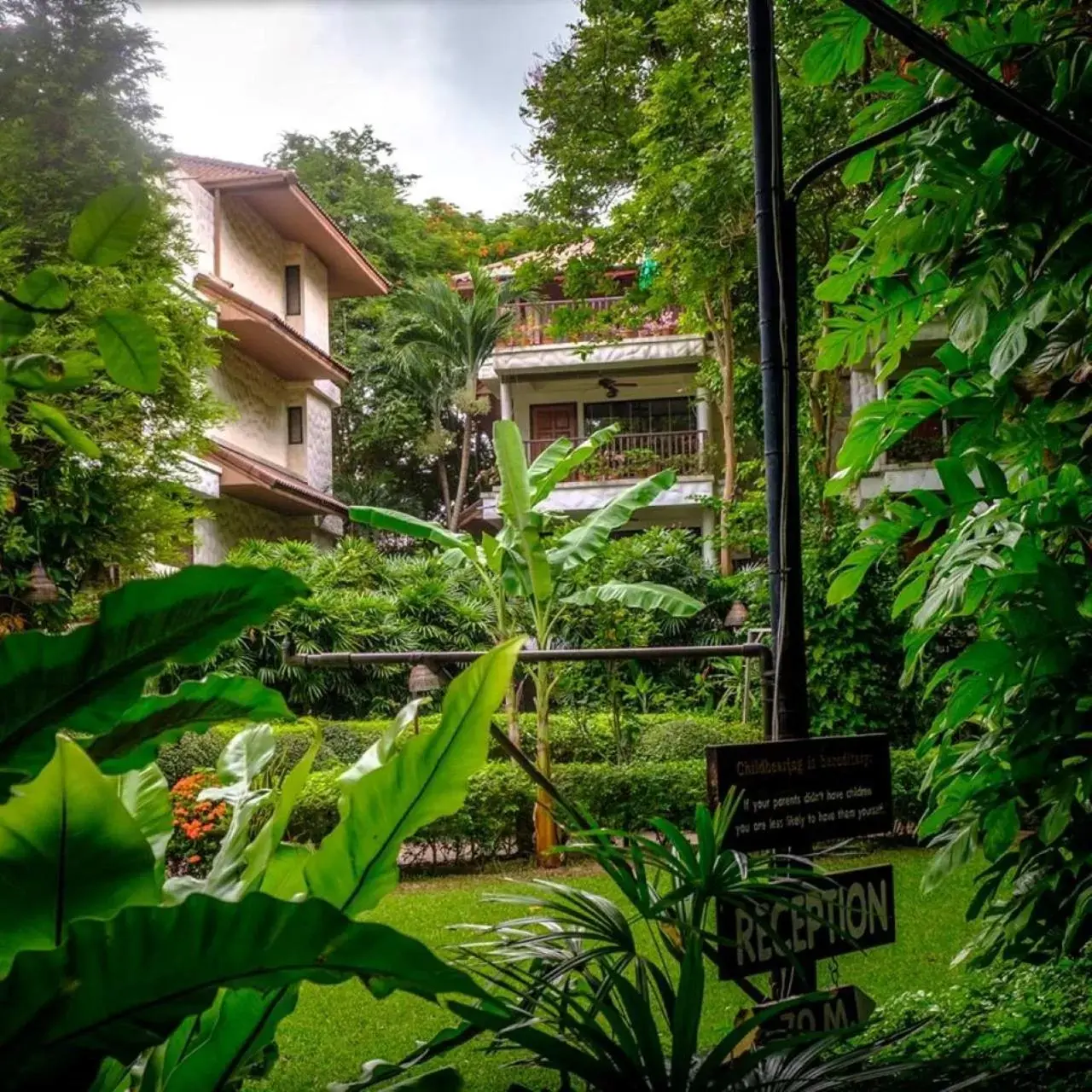 Property building in Birds and Bees Resort Property building in Birds and Bees Resort